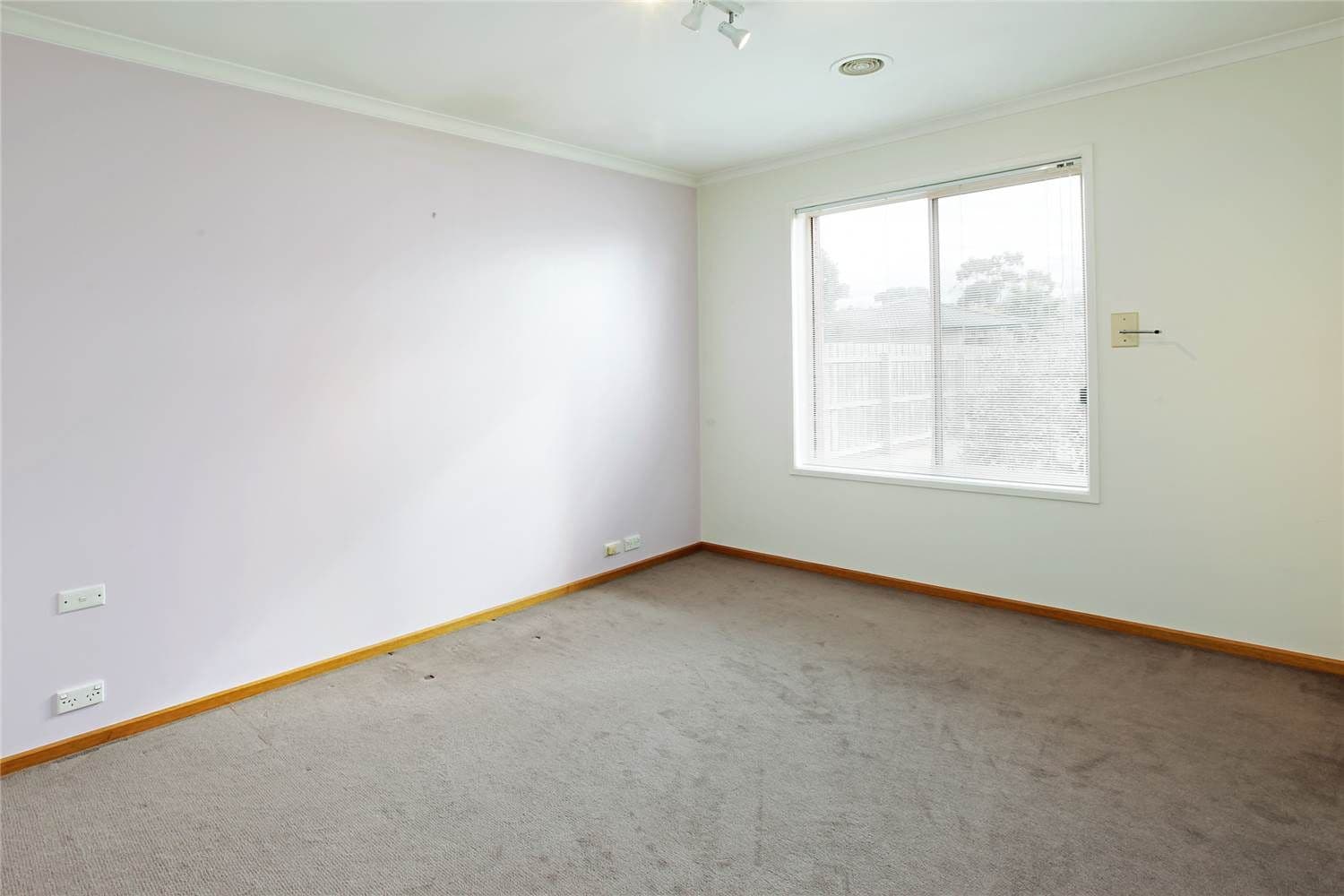 16 Freesia Court, WHITTINGTON VIC 3219, Whittington - Thumbnail 6