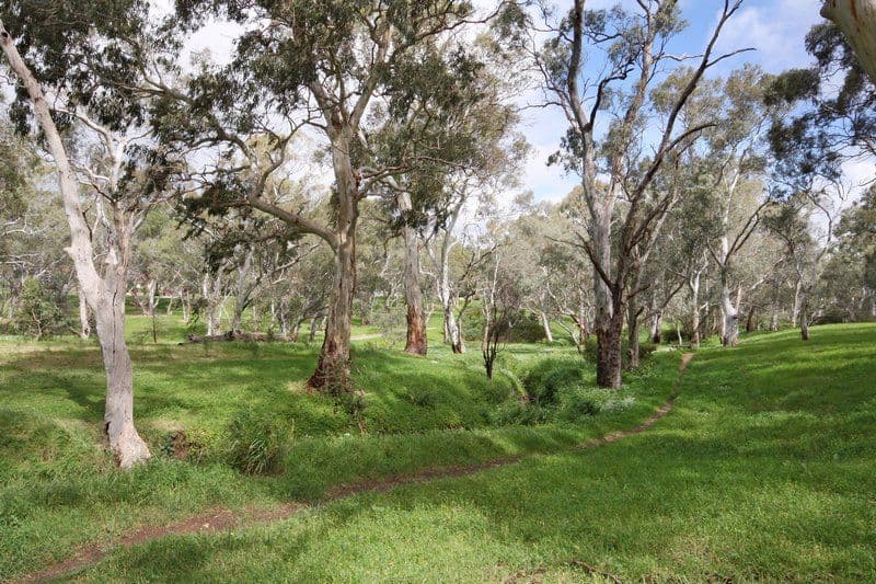15 O’Reilly Crescent, Springfield Lakes, QLD, 4300, Springfield Lakes - Thumbnail 8