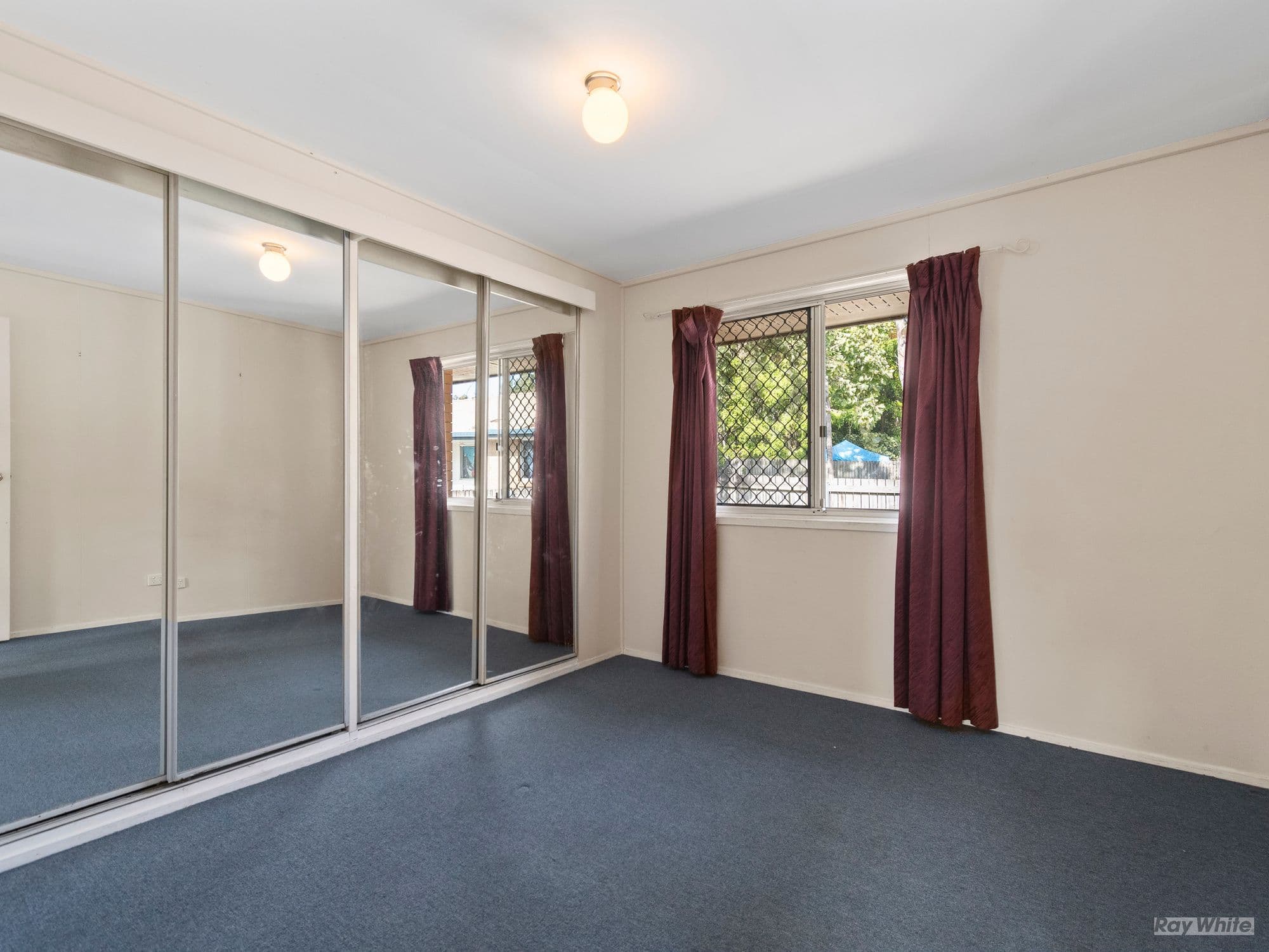 3 Haly Court, Gailes QLD 4300, Gailes - Thumbnail 6