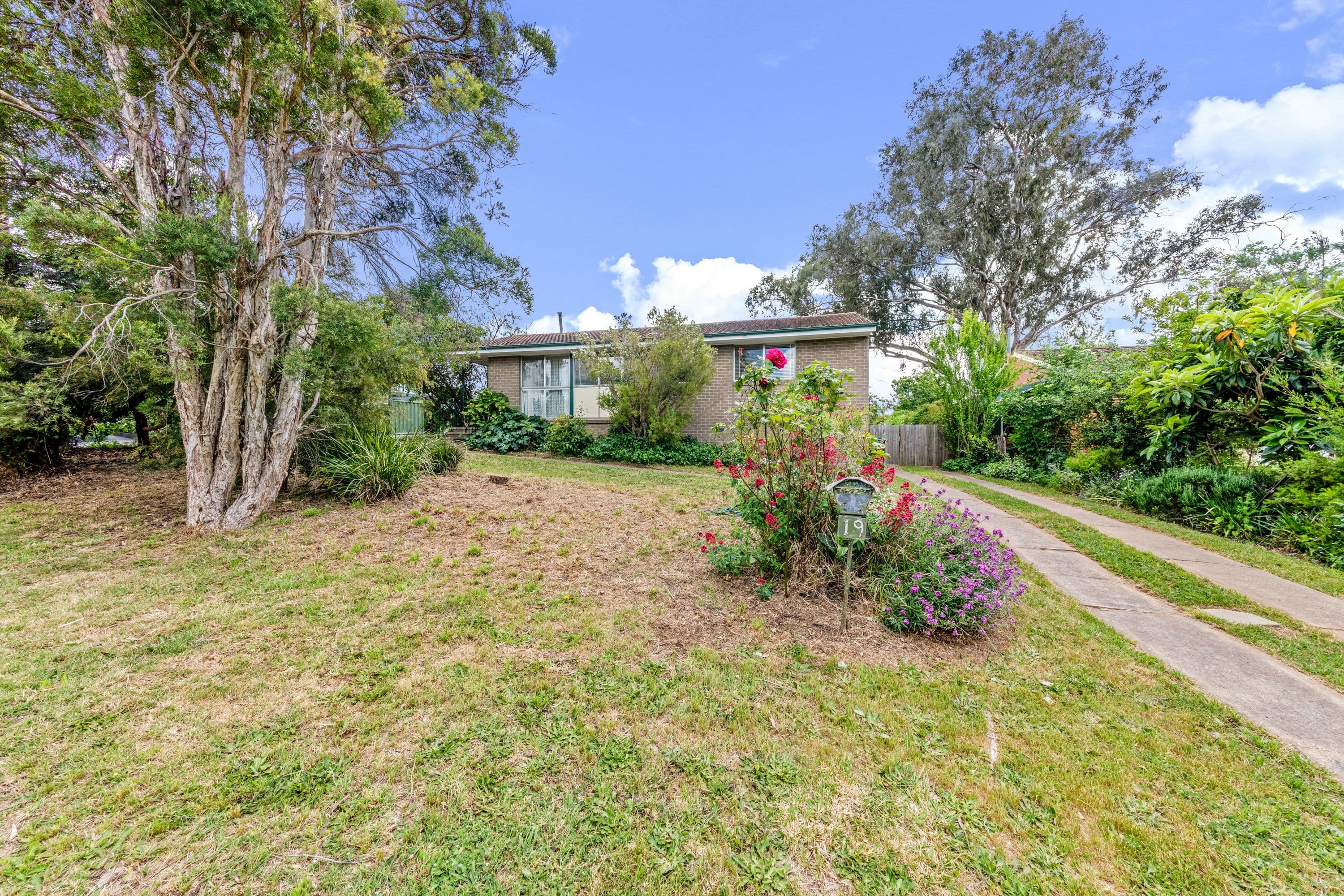 19 Roberts Street, Macquarie ACT 2614, Macquarie - Thumbnail 4
