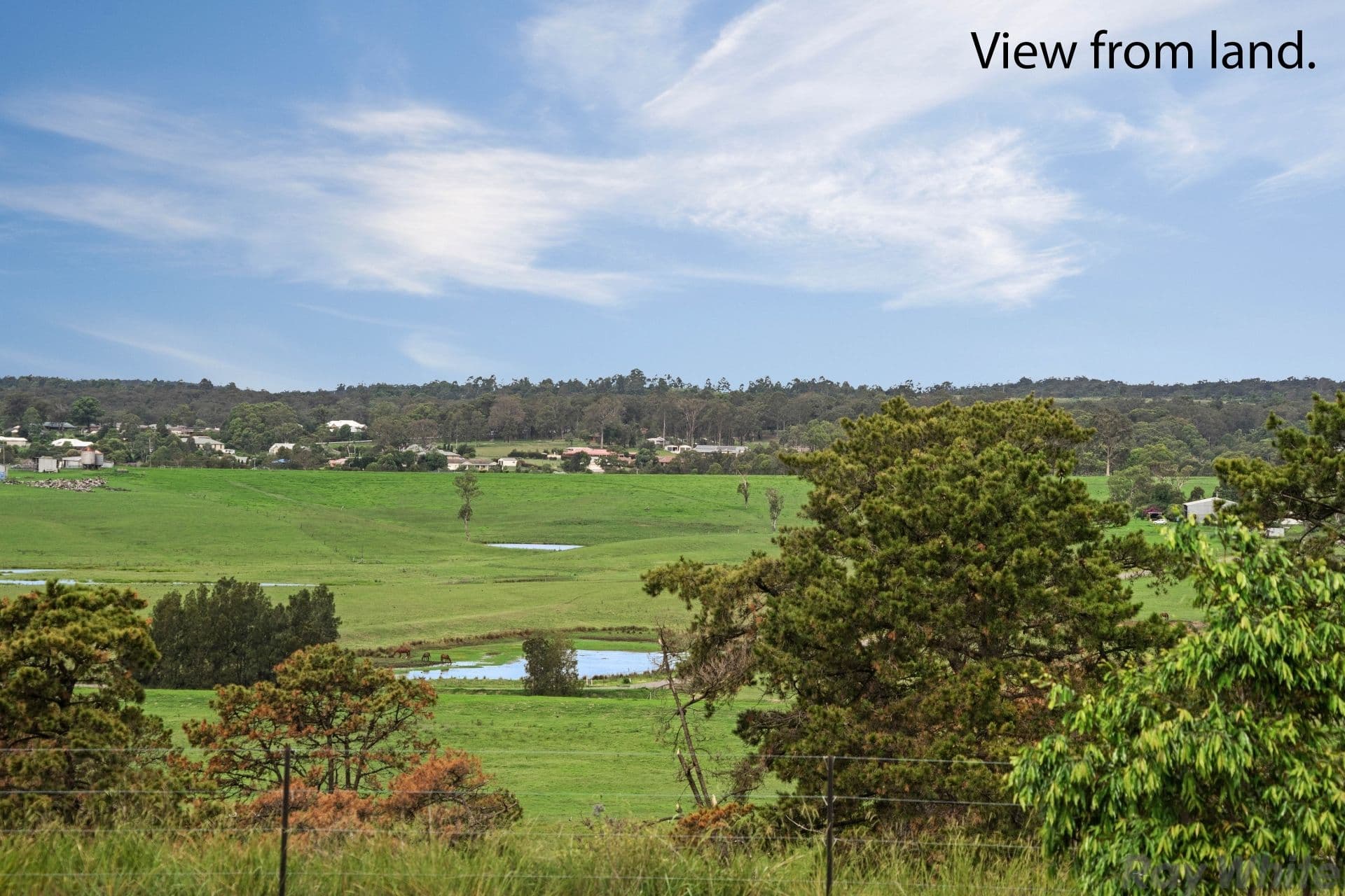 17 Prairie Way, GILLIESTON HEIGHTS NSW 2321, Gillieston Heights - Thumbnail 5
