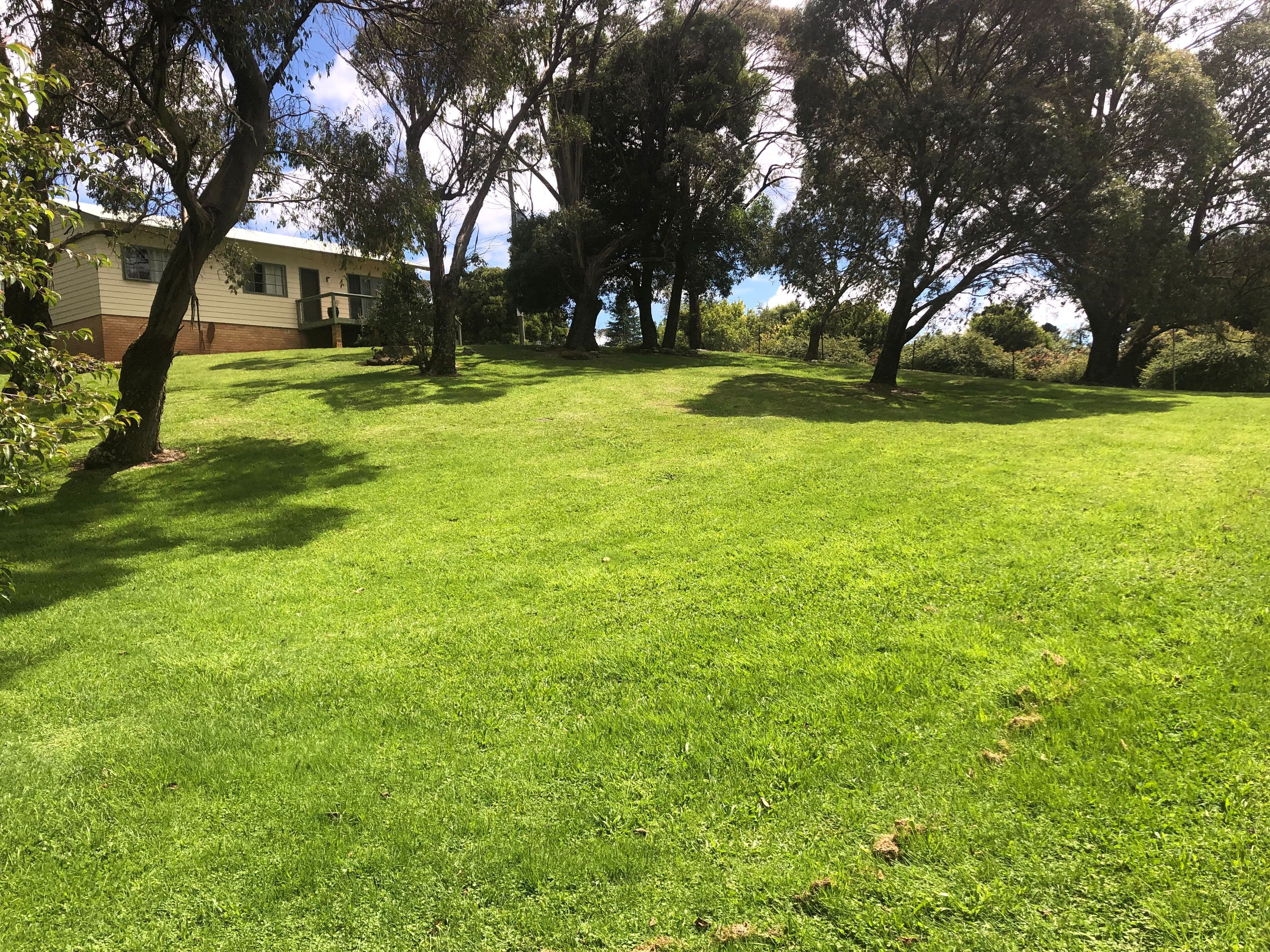 5 Major Street, Ebor NSW 2453, Ebor - Thumbnail 6