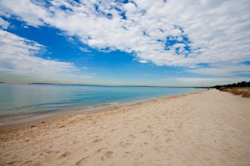 35 Trafalgar Street, Brighton Le Sands NSW 2216, Brighton-Le-Sands - Thumbnail 8