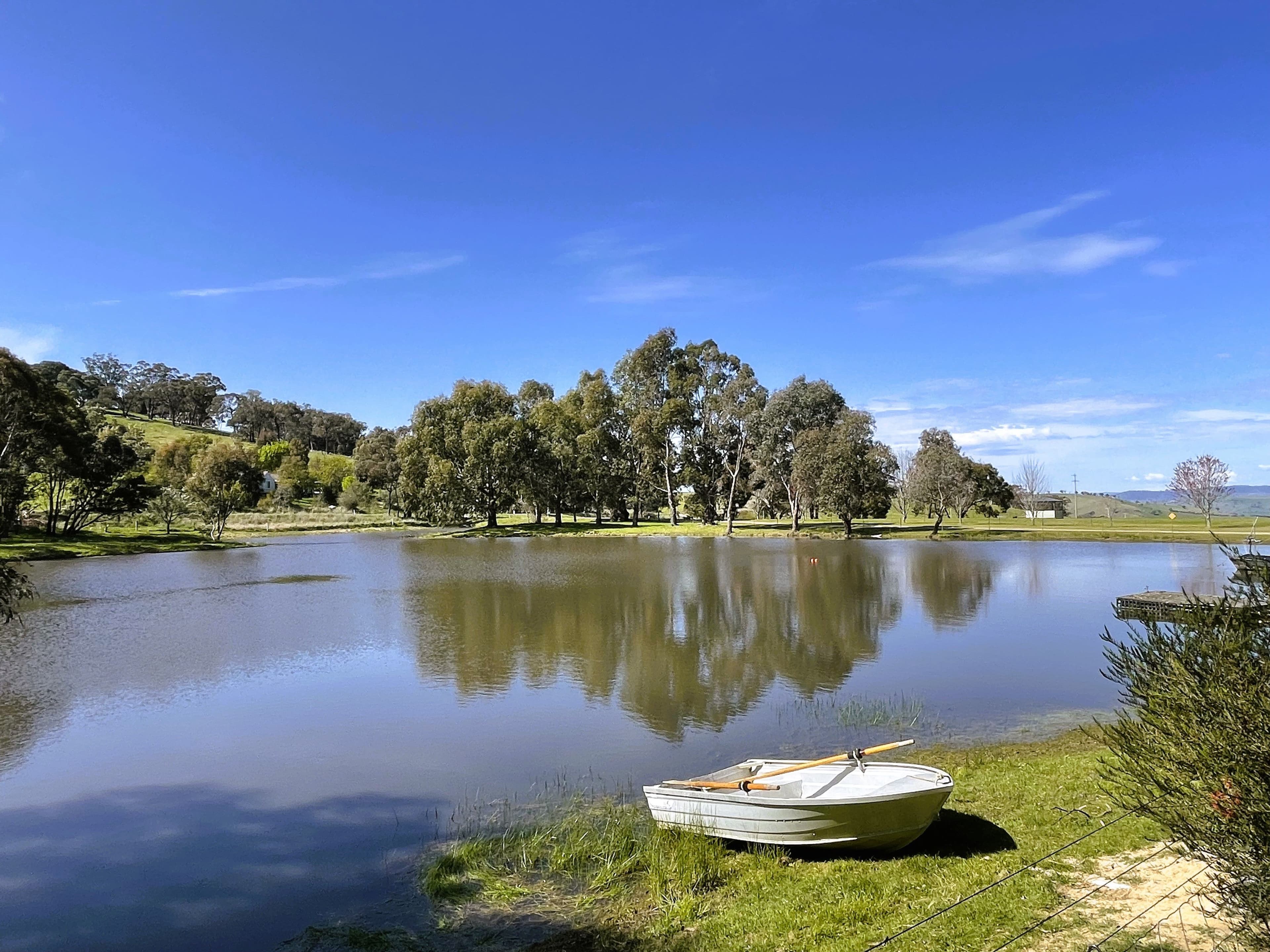 309 Reno Road, Gundagai NSW 2722, Gundagai - Thumbnail 7