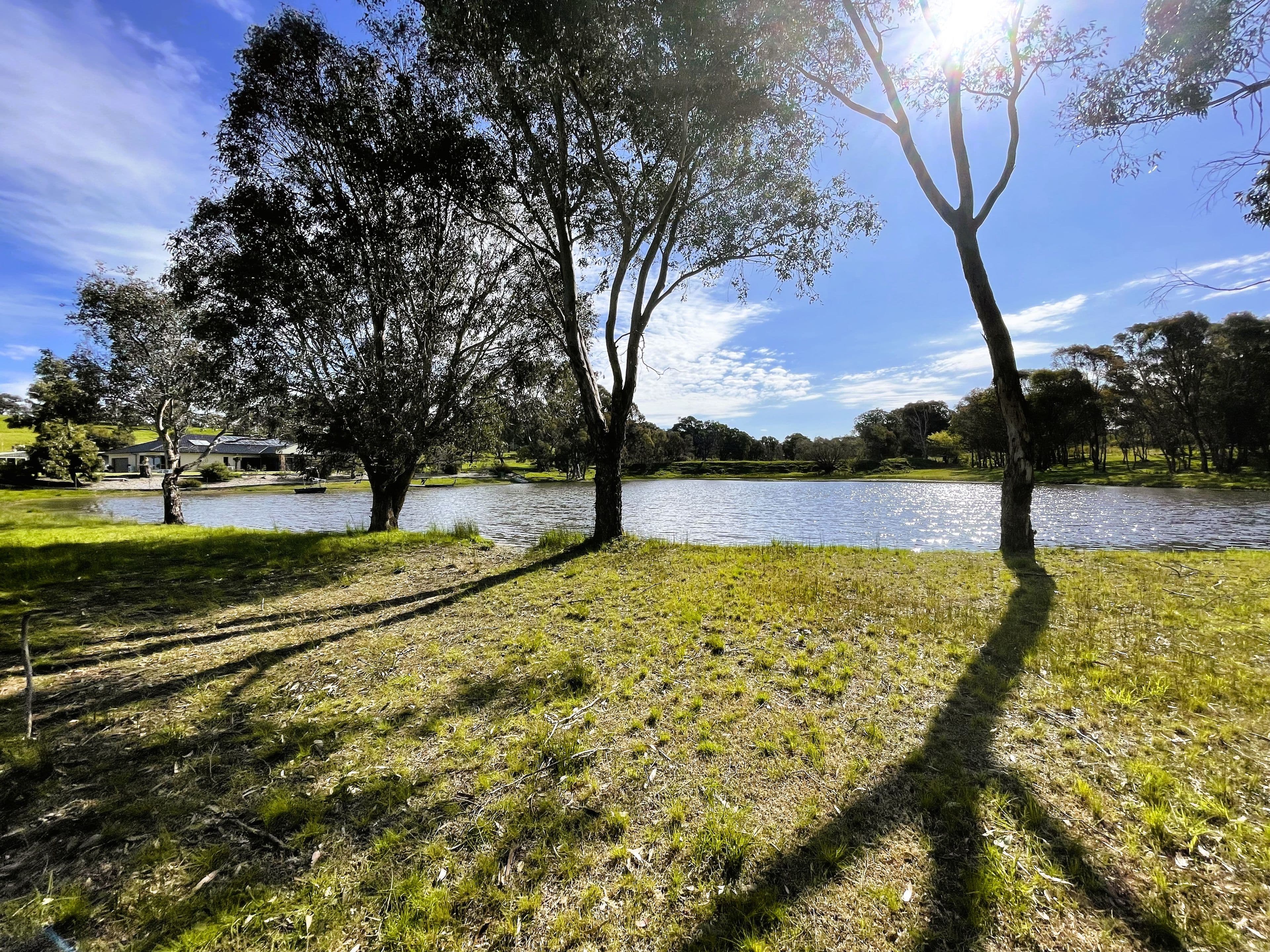 309 Reno Road, Gundagai NSW 2722, Gundagai - Thumbnail 8