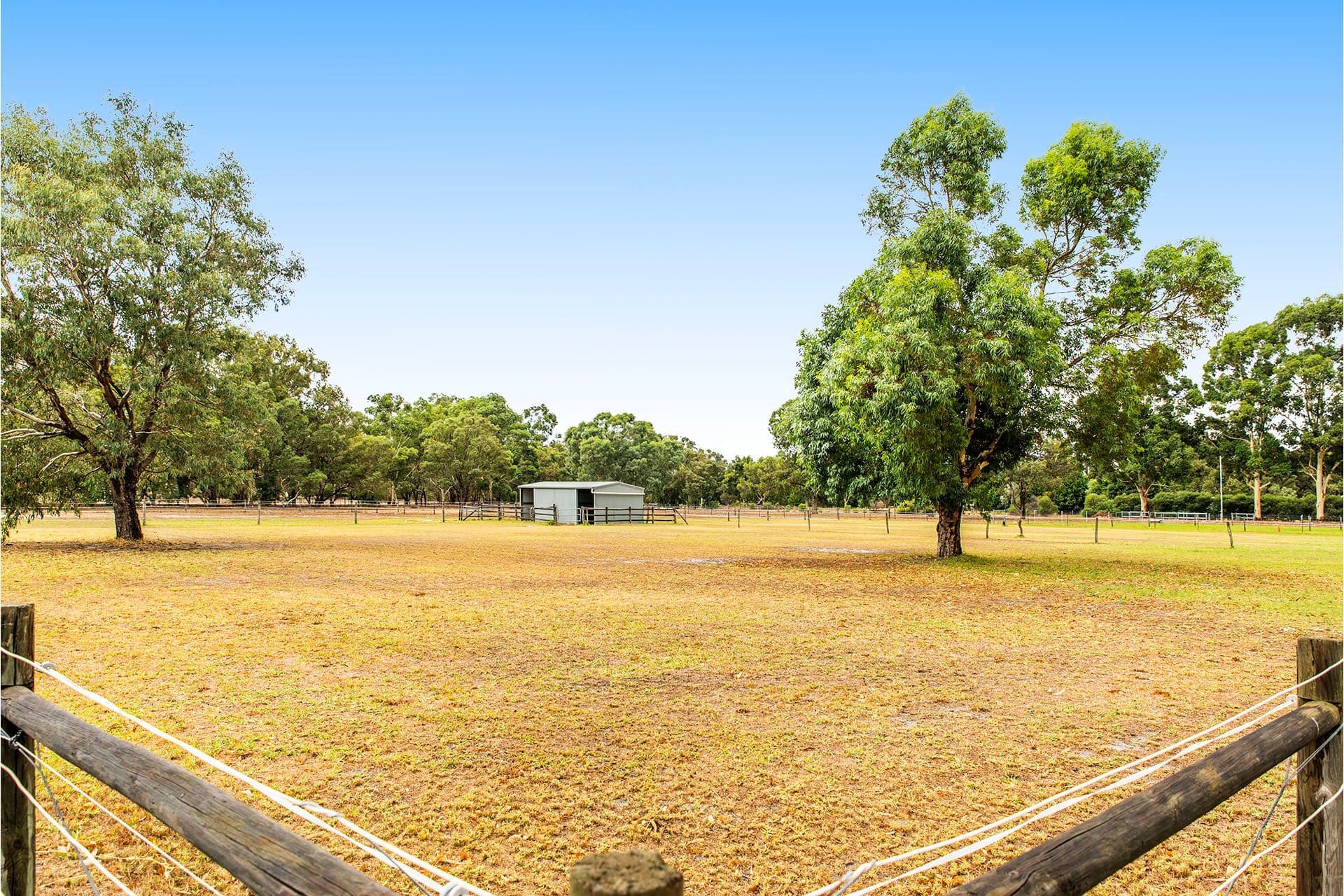 34 Charolais Trail, Lower Chittering WA 6084, Lower Chittering - Thumbnail 4