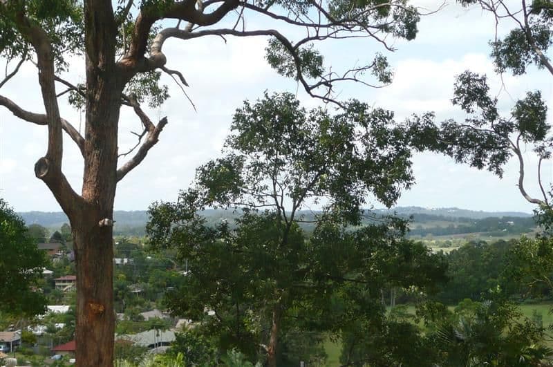 17b McCall Place, BLI BLI QLD 4560, Bli Bli - Thumbnail 2