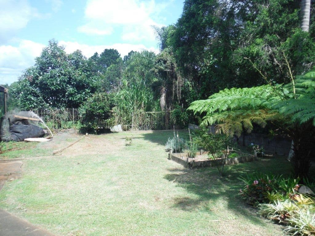 16 Bean Street, MALENY QLD 4552, Maleny - Thumbnail 4