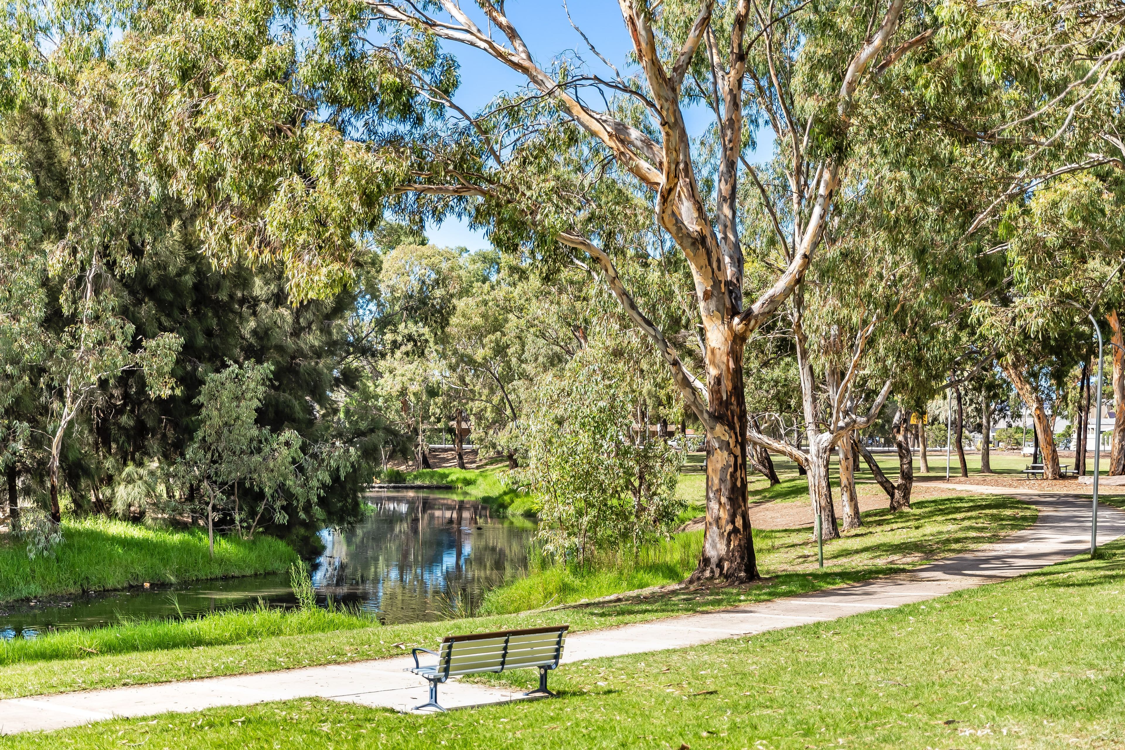 23 Kentdale Street, Grange SA 5022, Grange - Thumbnail 8