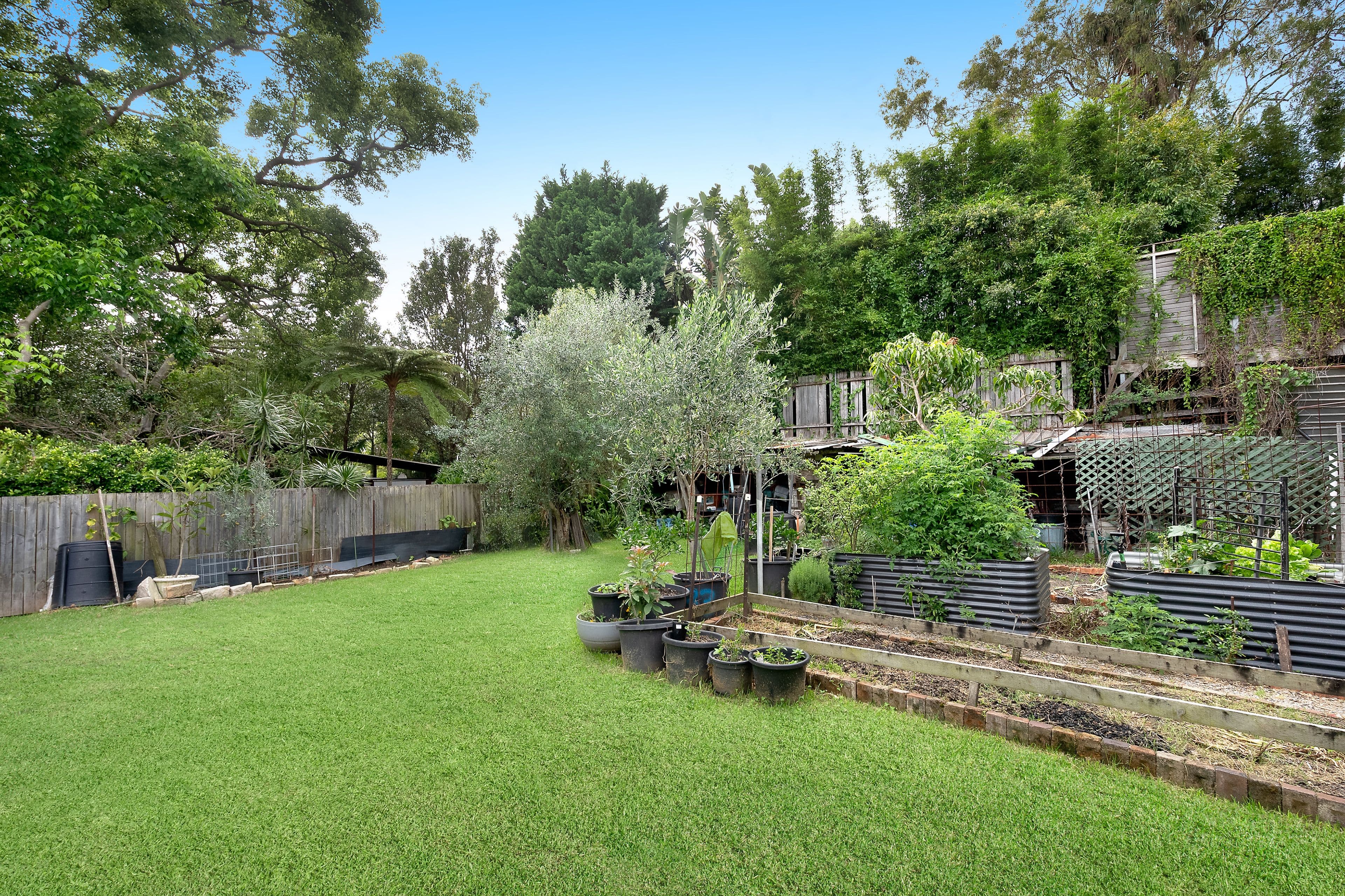 25 Murray Street, Bronte NSW 2024, Bronte - Thumbnail 4