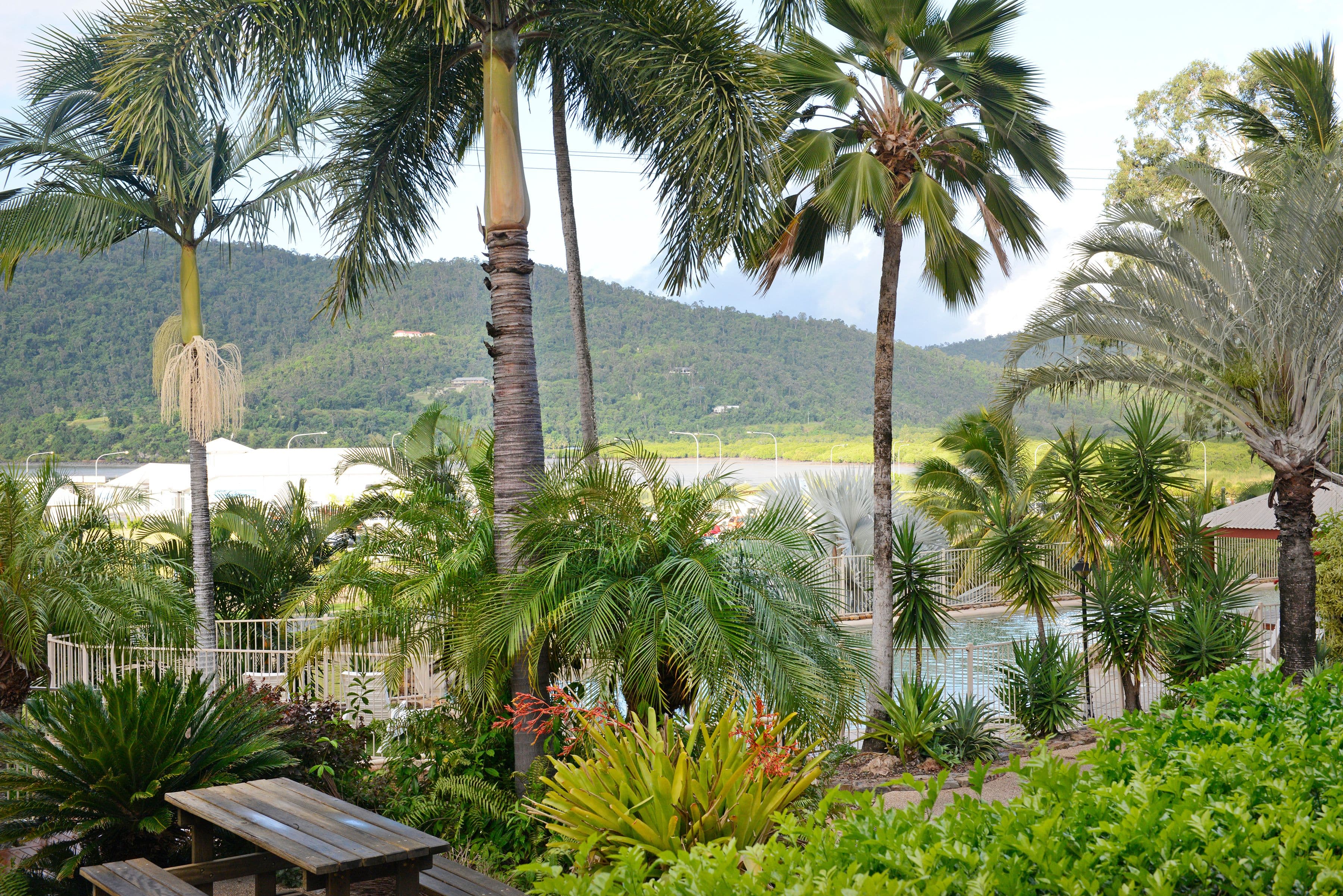 14 Hermitage Drive, Airlie Beach QLD 4802, Airlie Beach - Image 1