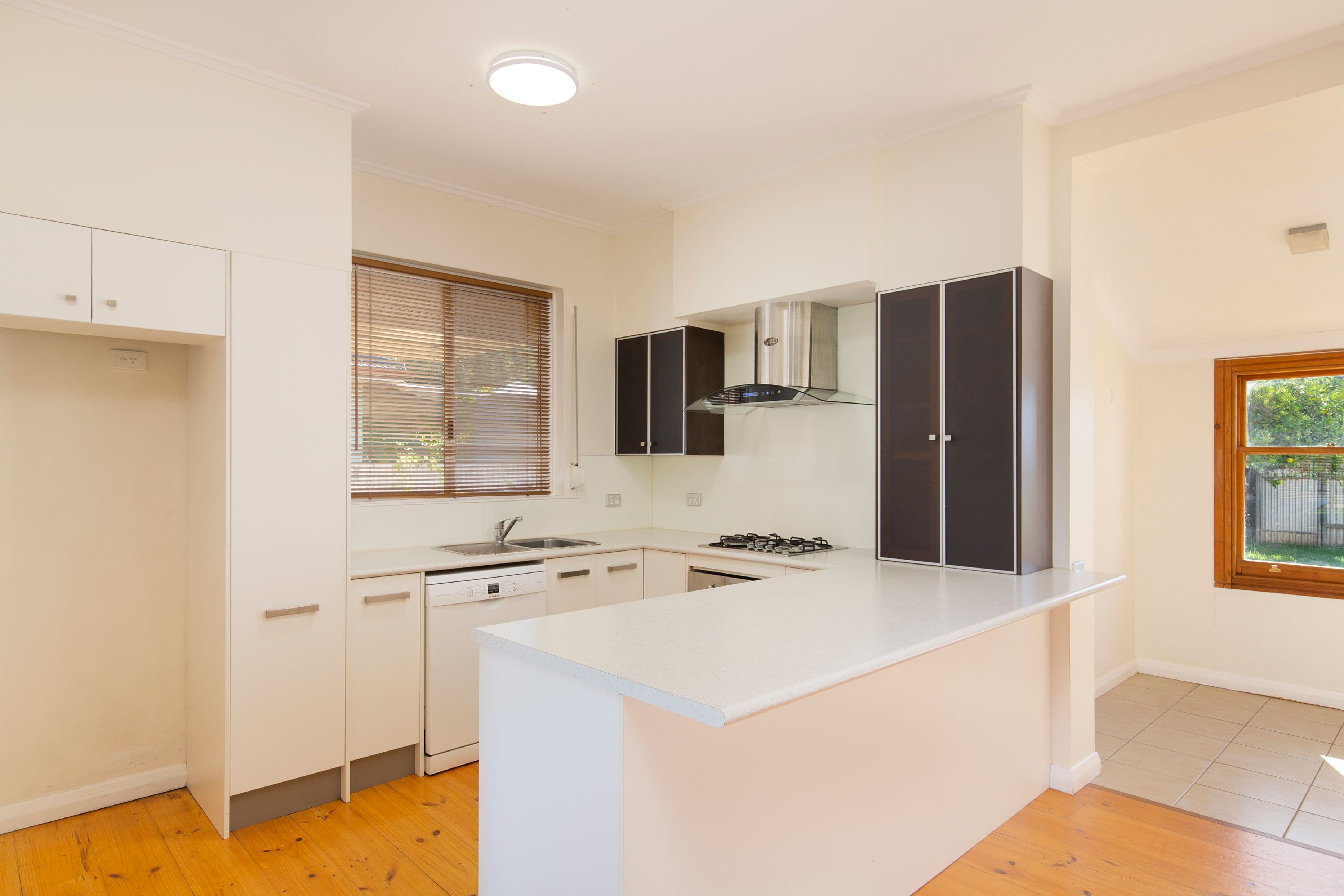 31 Wheaton Street, South Plympton SA 5038, South Plympton - Thumbnail 2