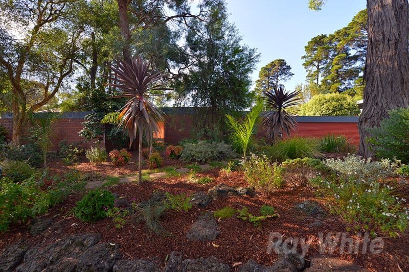11 Casuarina Avenue, BORONIA VIC 3155, Boronia - Thumbnail 3