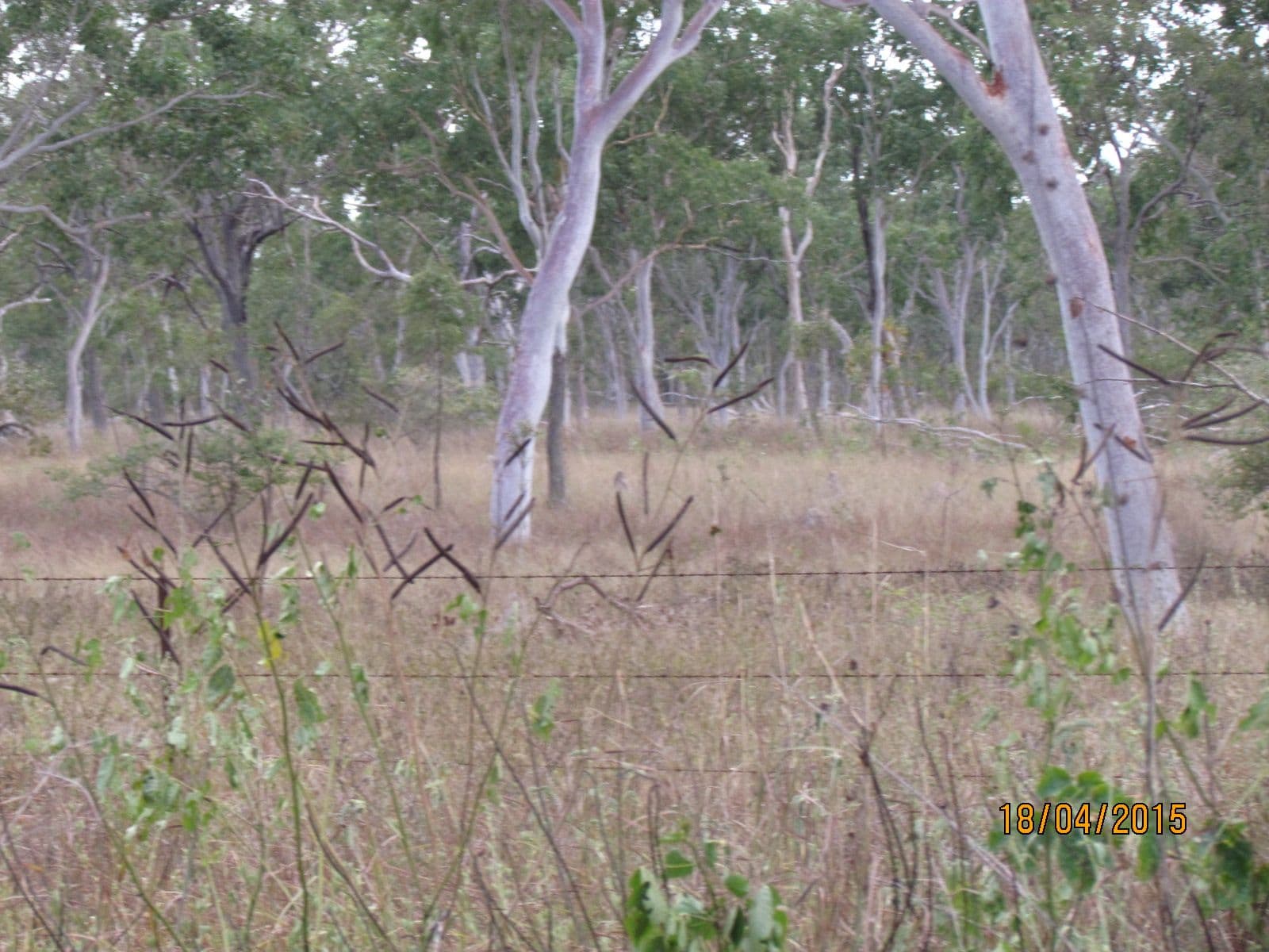 Lot 8, 69 Mountview Drive, Toonpan QLD 4816, Toonpan - Thumbnail 5
