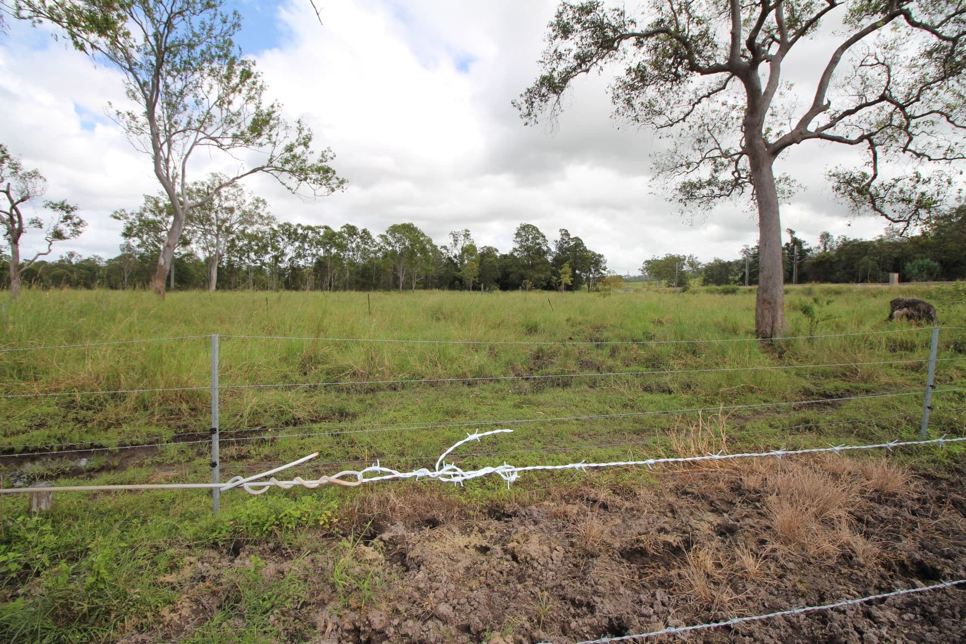 1092 Koumala Bolingbroke Road, Koumala QLD 4738, Koumala - Thumbnail 8