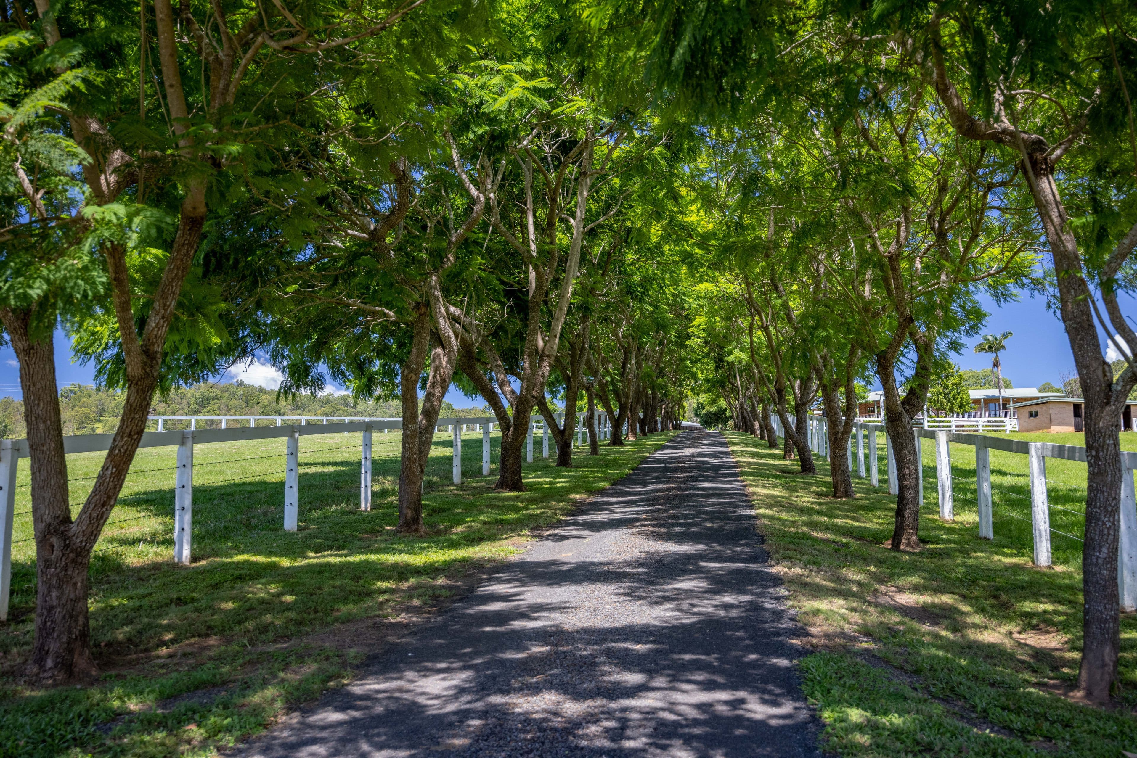 193 Walli Mountain Road, Kenilworth QLD 4574, Kenilworth - Thumbnail 5