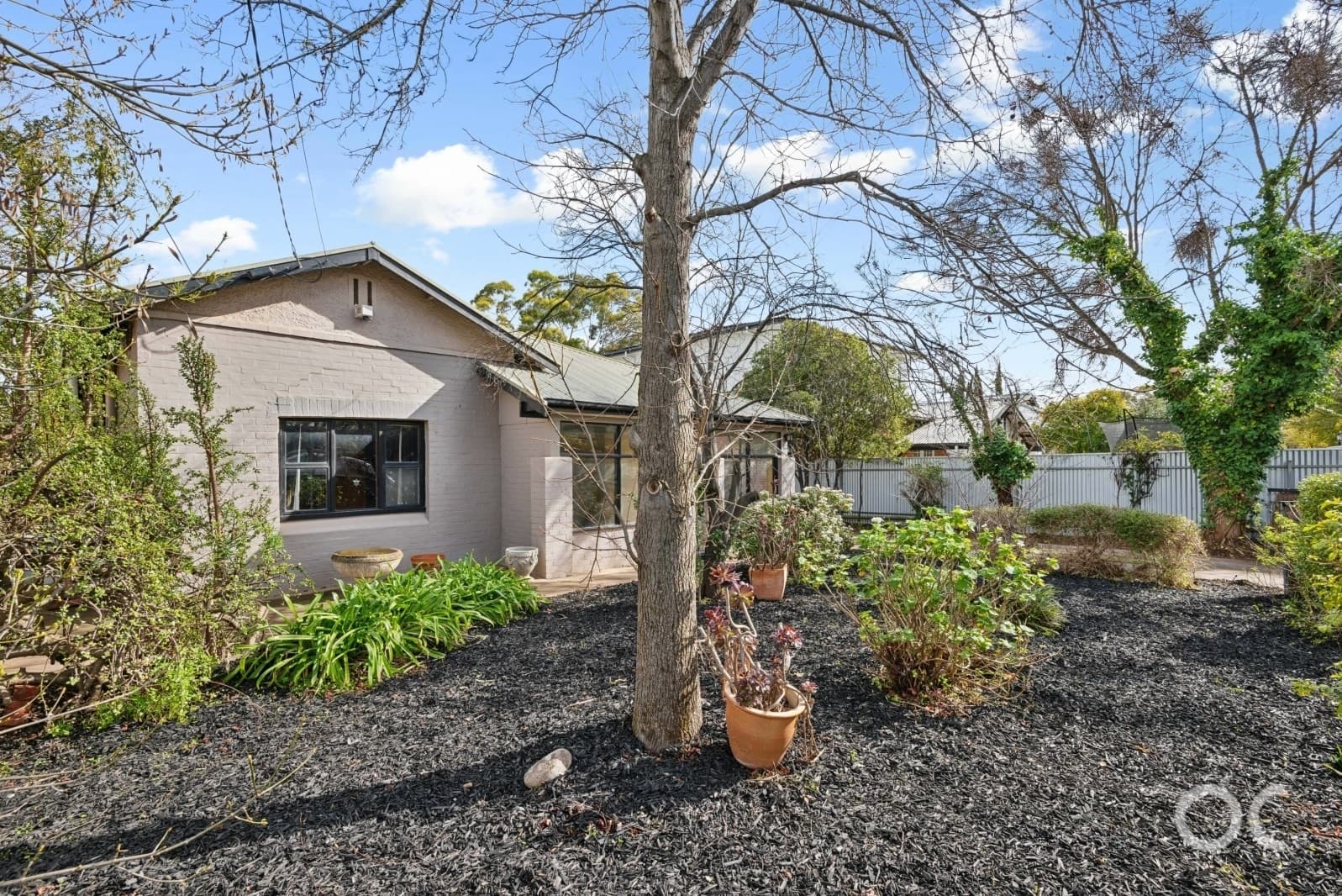 16 Ackland Avenue, Clarence Gardens - Thumbnail 2