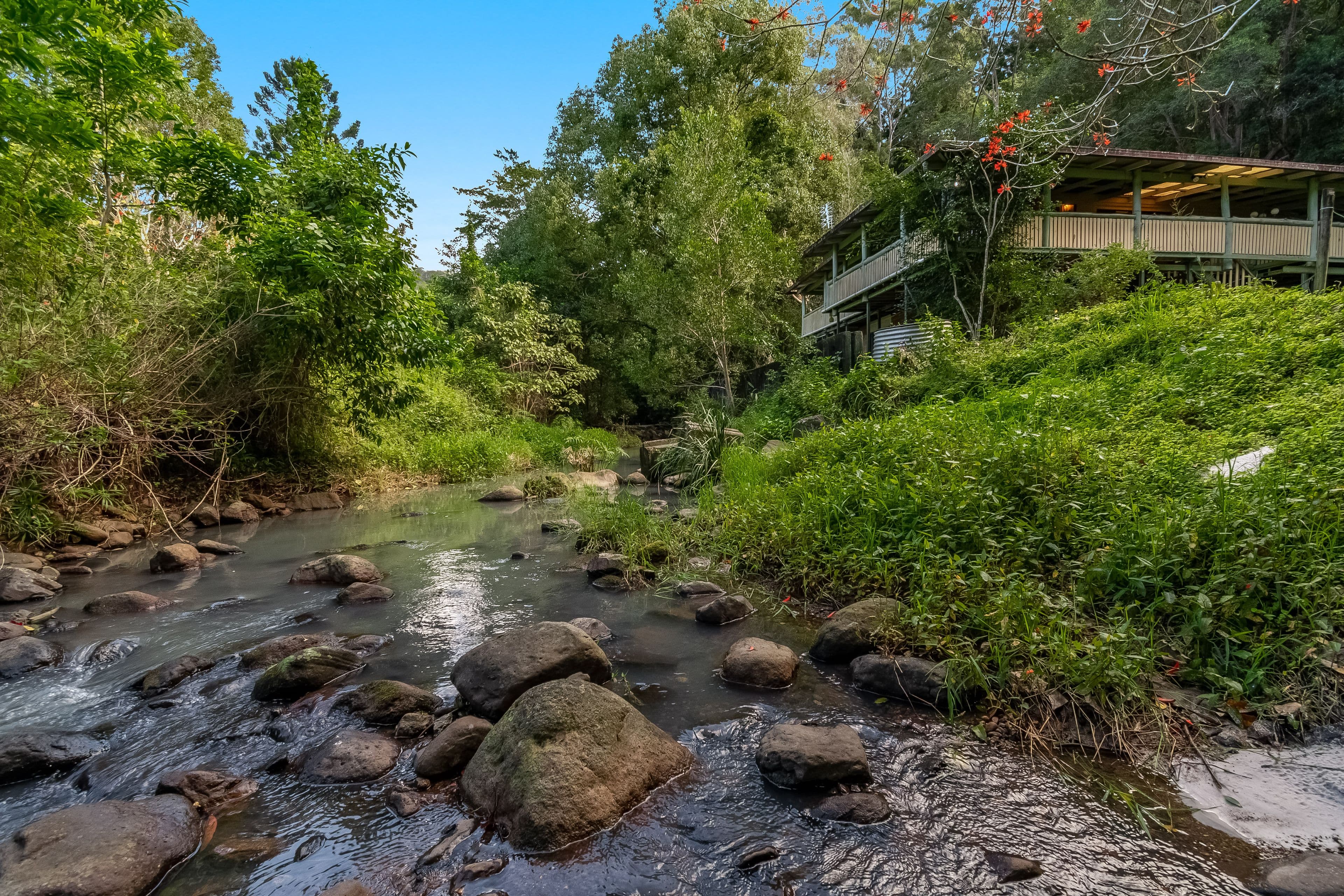 599 Left Bank Road, Mullumbimby Creek NSW 2482, Mullumbimby Creek - Image 1