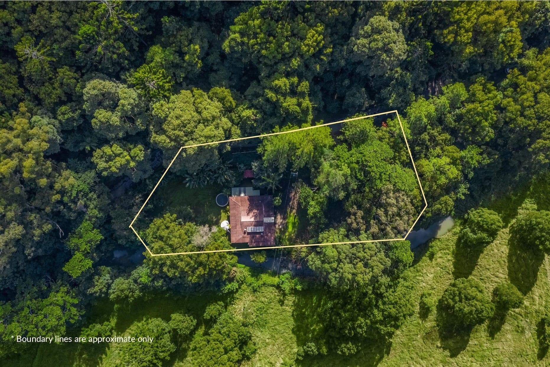 599 Left Bank Road, Mullumbimby Creek NSW 2482, Mullumbimby Creek - Thumbnail 2