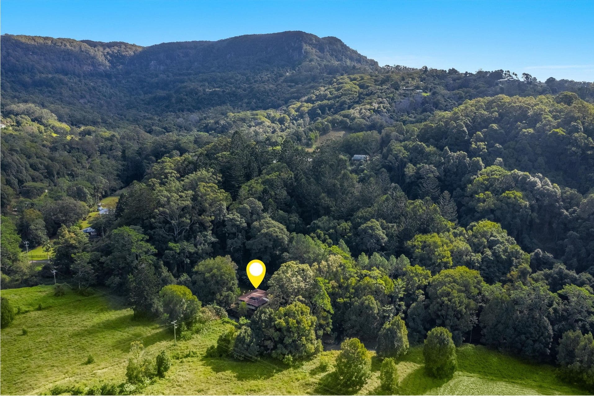 599 Left Bank Road, Mullumbimby Creek NSW 2482, Mullumbimby Creek - Thumbnail 3