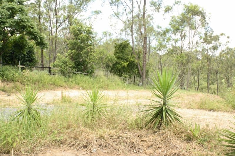 32-34 Wyndham Place, Kooralbyn QLD 4285, Kooralbyn - Thumbnail 5