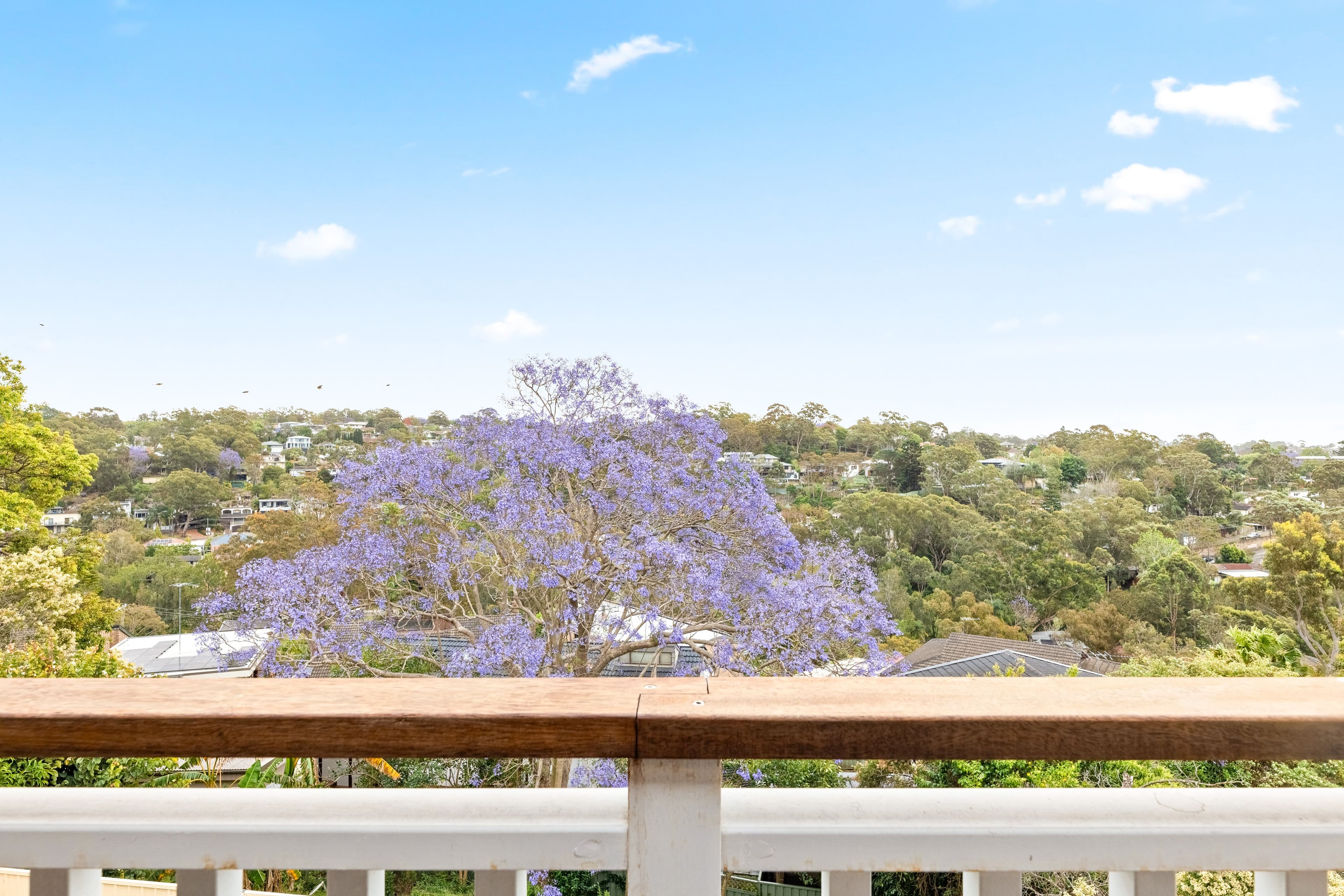 43 Rival Street, Kareela NSW 2232, Kareela - Thumbnail 4