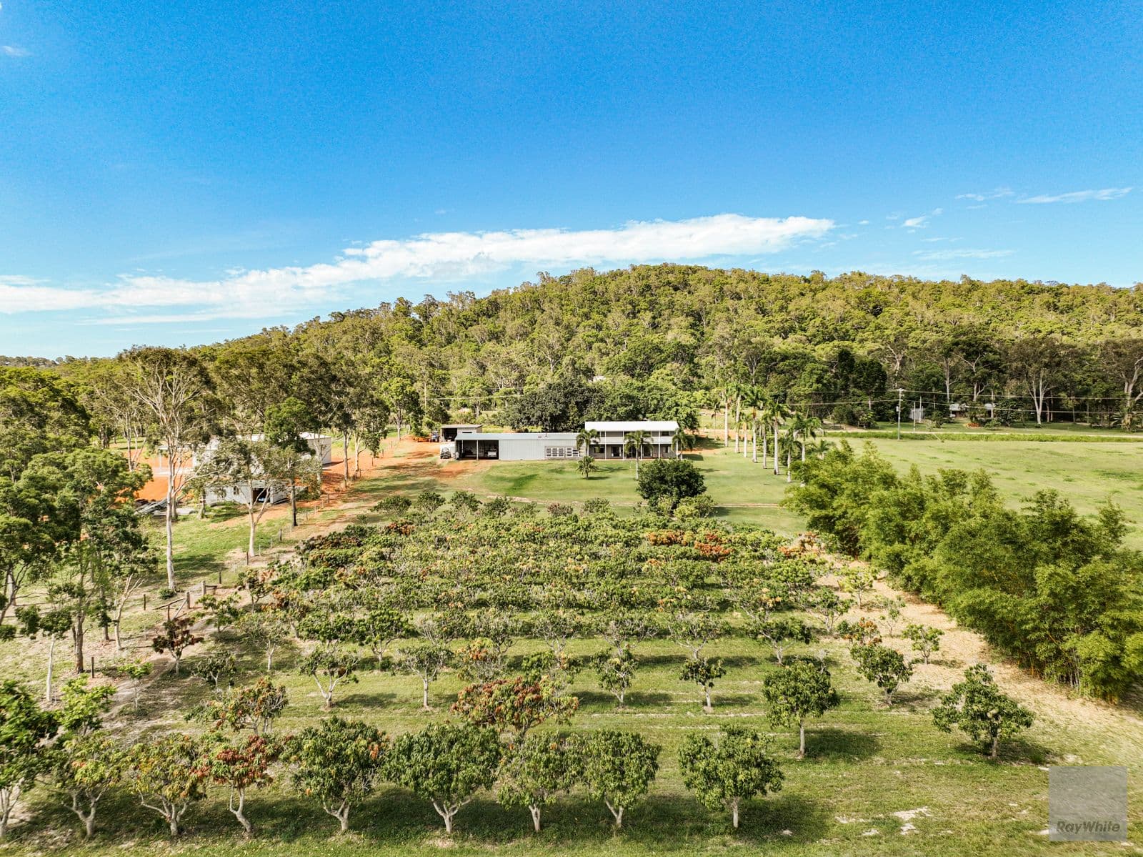 150 Woodvale Park Road, Adelaide Park QLD 4703, Adelaide Park - Thumbnail 5