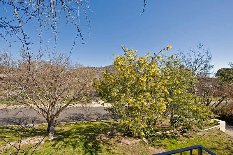 23A Brookman Street, TORRENS ACT 2607, Torrens - Thumbnail 3