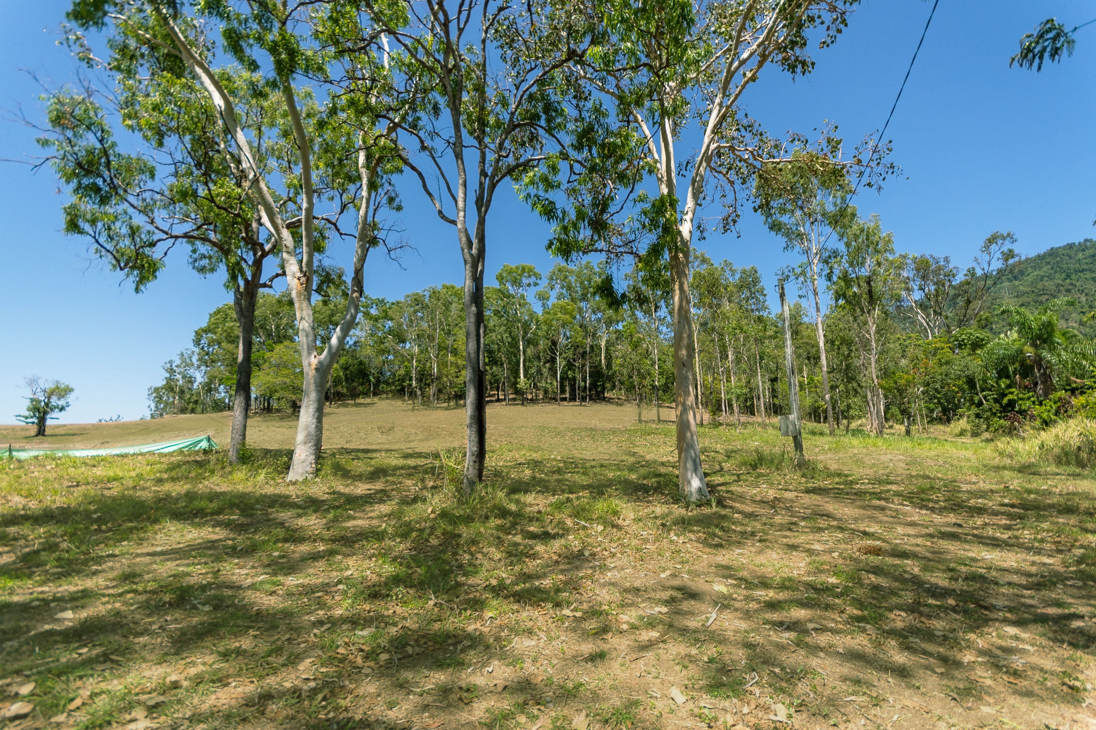 461A Sugarloaf Road, Riordanvale QLD 4800, Riordanvale - Thumbnail 3
