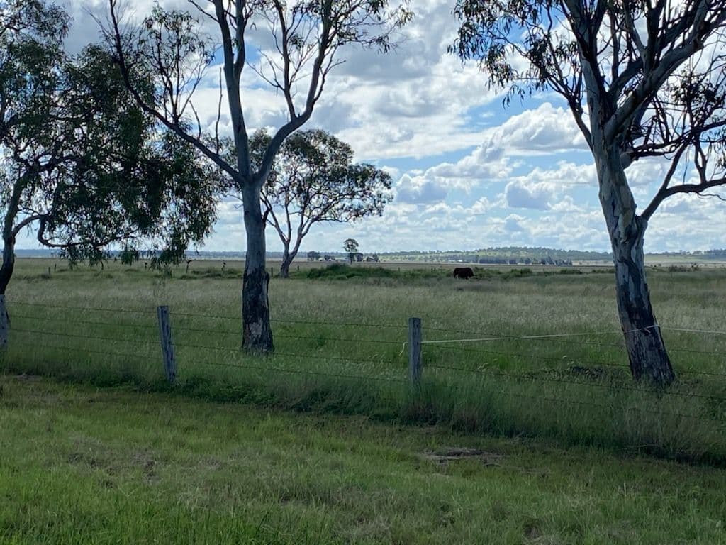 Williams Road, Oakey QLD 4401, Oakey - Image 1