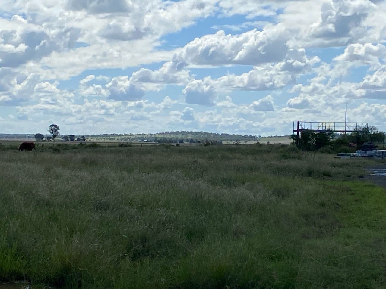 Williams Road, Oakey QLD 4401, Oakey - Thumbnail 3