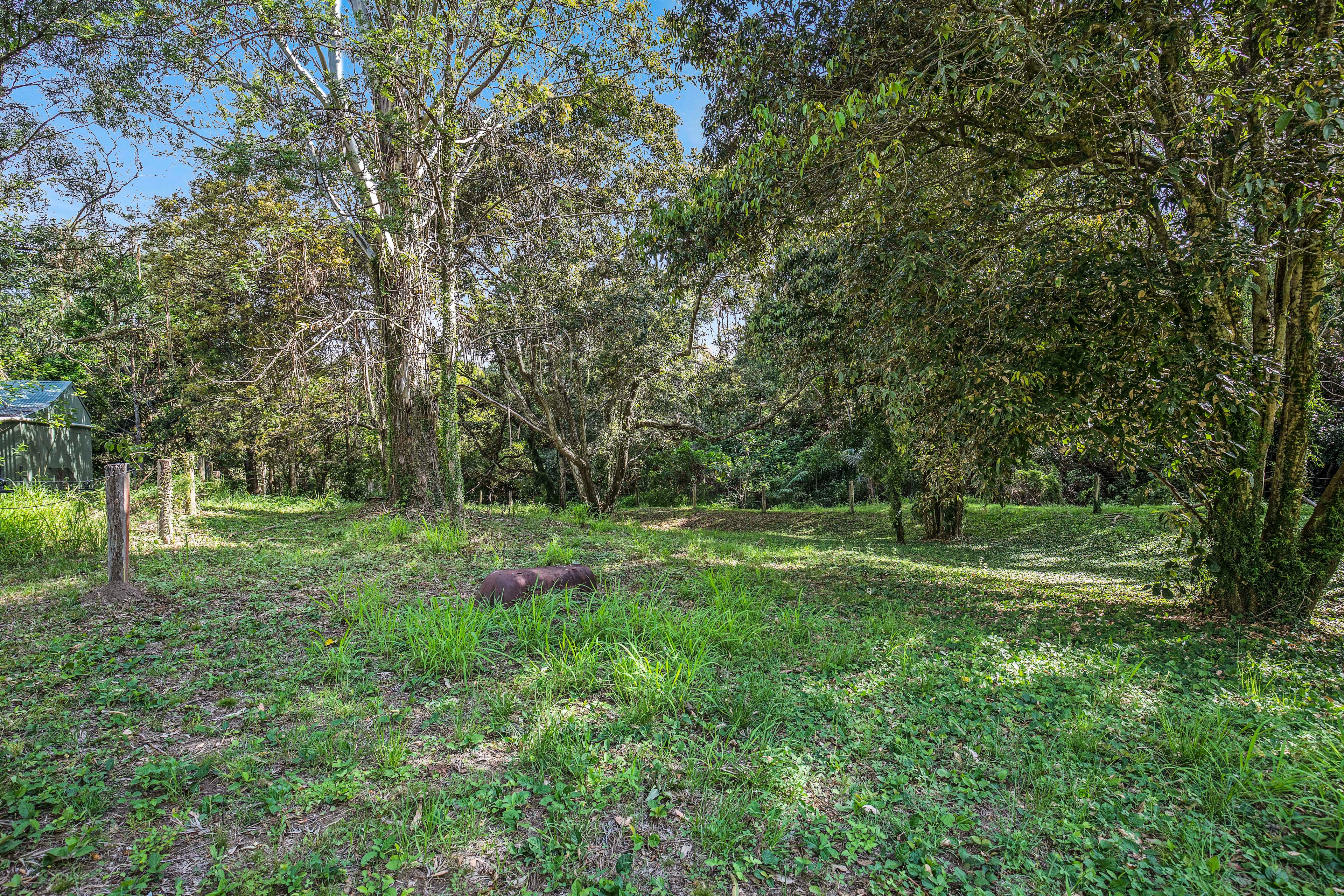 4 Birdwood Drive, Samford Valley QLD 4520, Samford Valley - Thumbnail 5