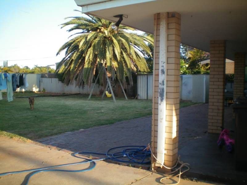4 Tamblyn Street, SPALDING WA 6530, Spalding - Thumbnail 5