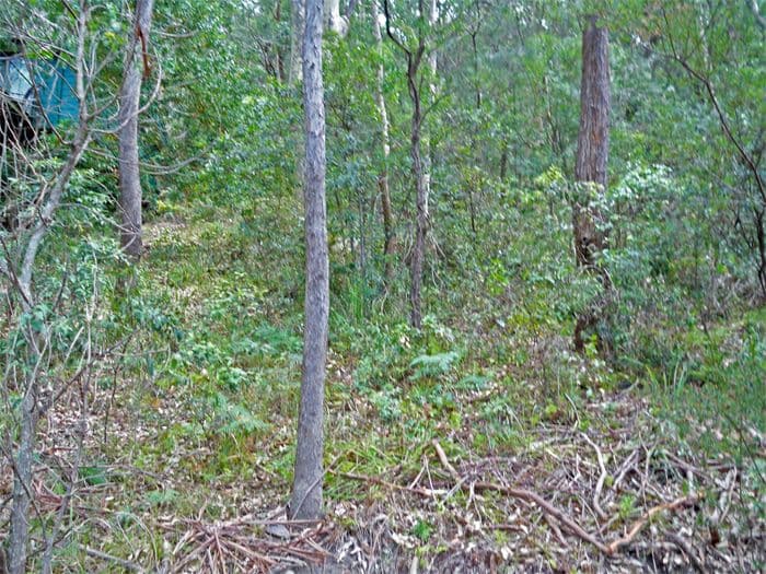 79 Albert Street, WAGSTAFFE NSW 2257, Wagstaffe - Thumbnail 3