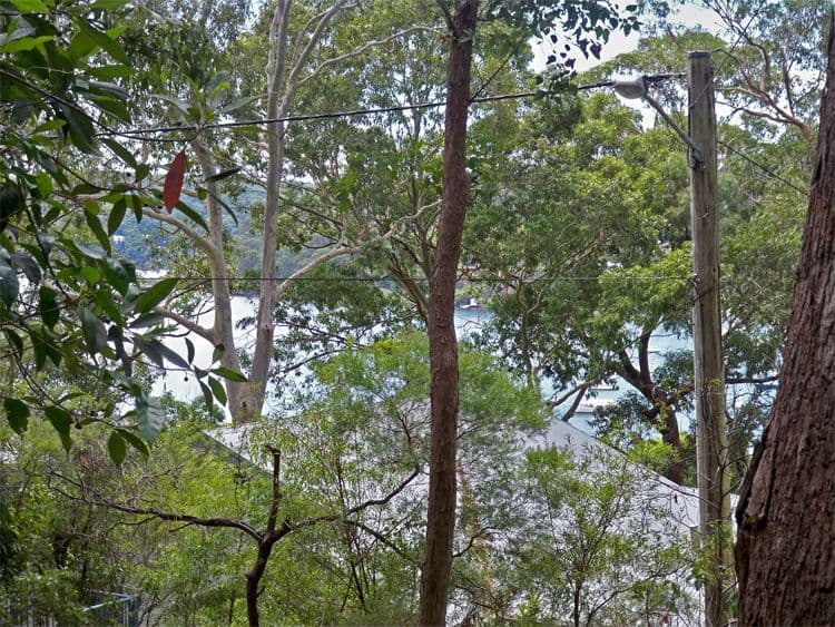 79 Albert Street, WAGSTAFFE NSW 2257, Wagstaffe - Thumbnail 4