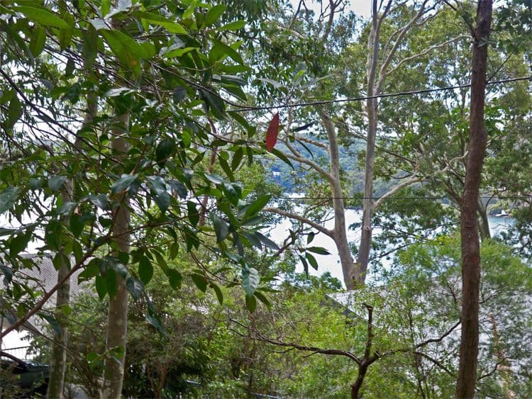 79 Albert Street, WAGSTAFFE NSW 2257, Wagstaffe - Thumbnail 5