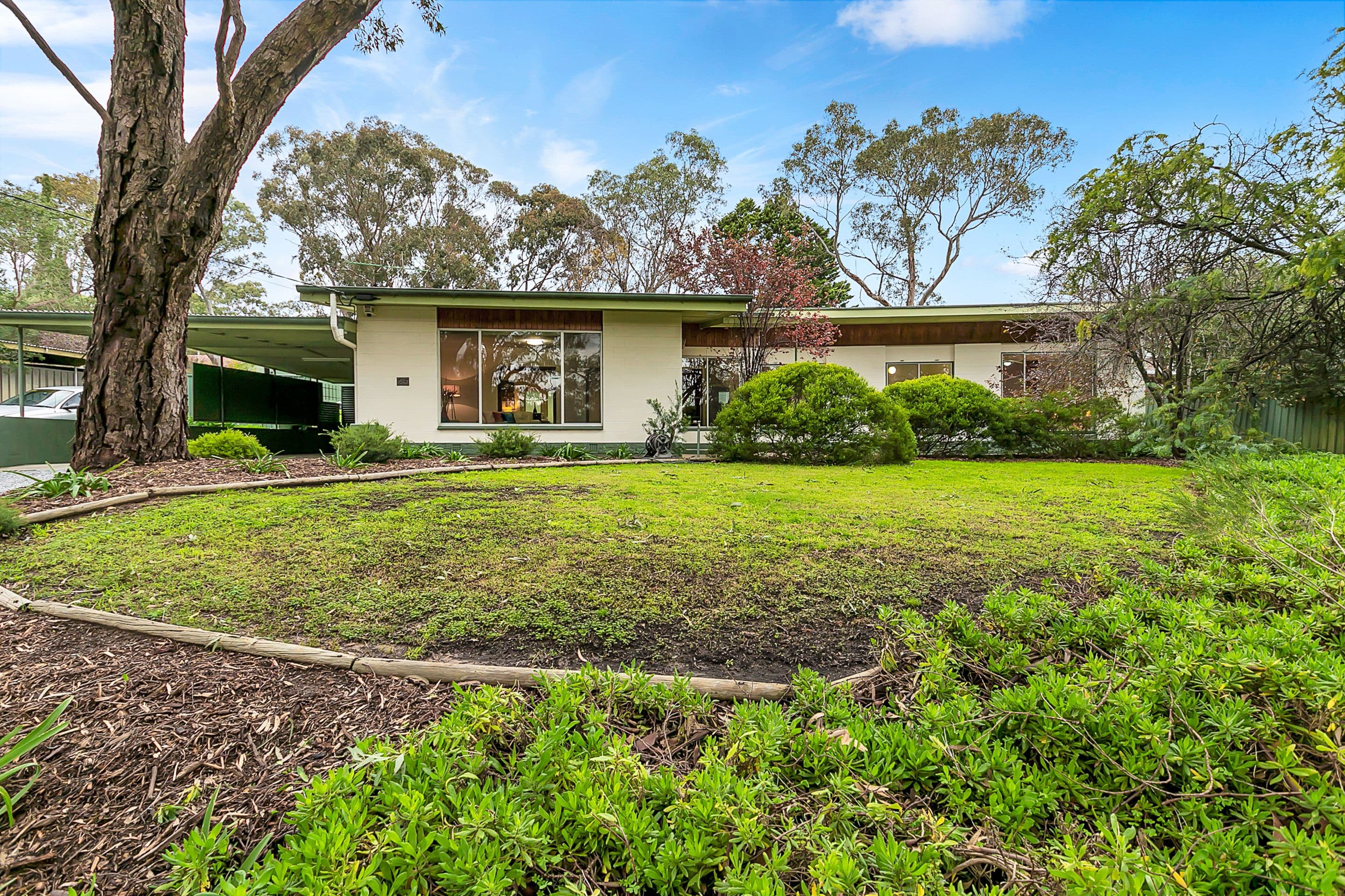 25 Clarence Street, Blackwood SA 5051, Blackwood - Thumbnail 2