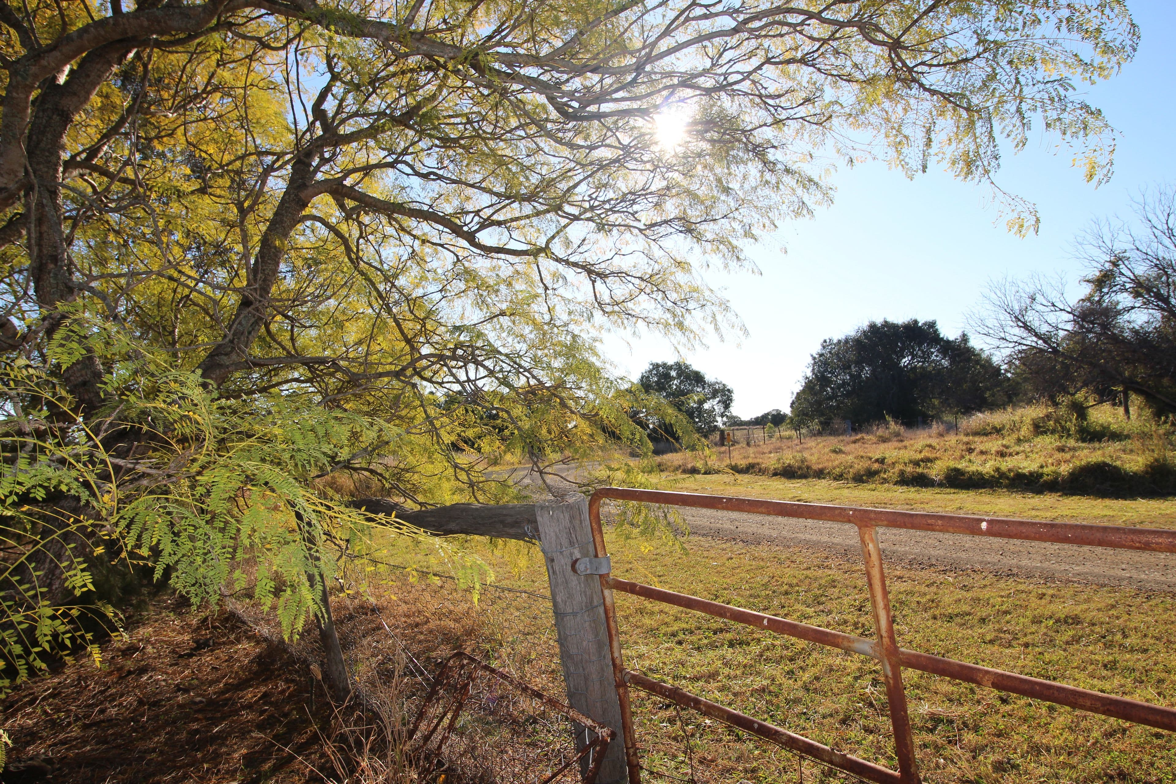9 Crawley Road, Stoneleigh, Pittsworth QLD 4356, Pittsworth - Thumbnail 4