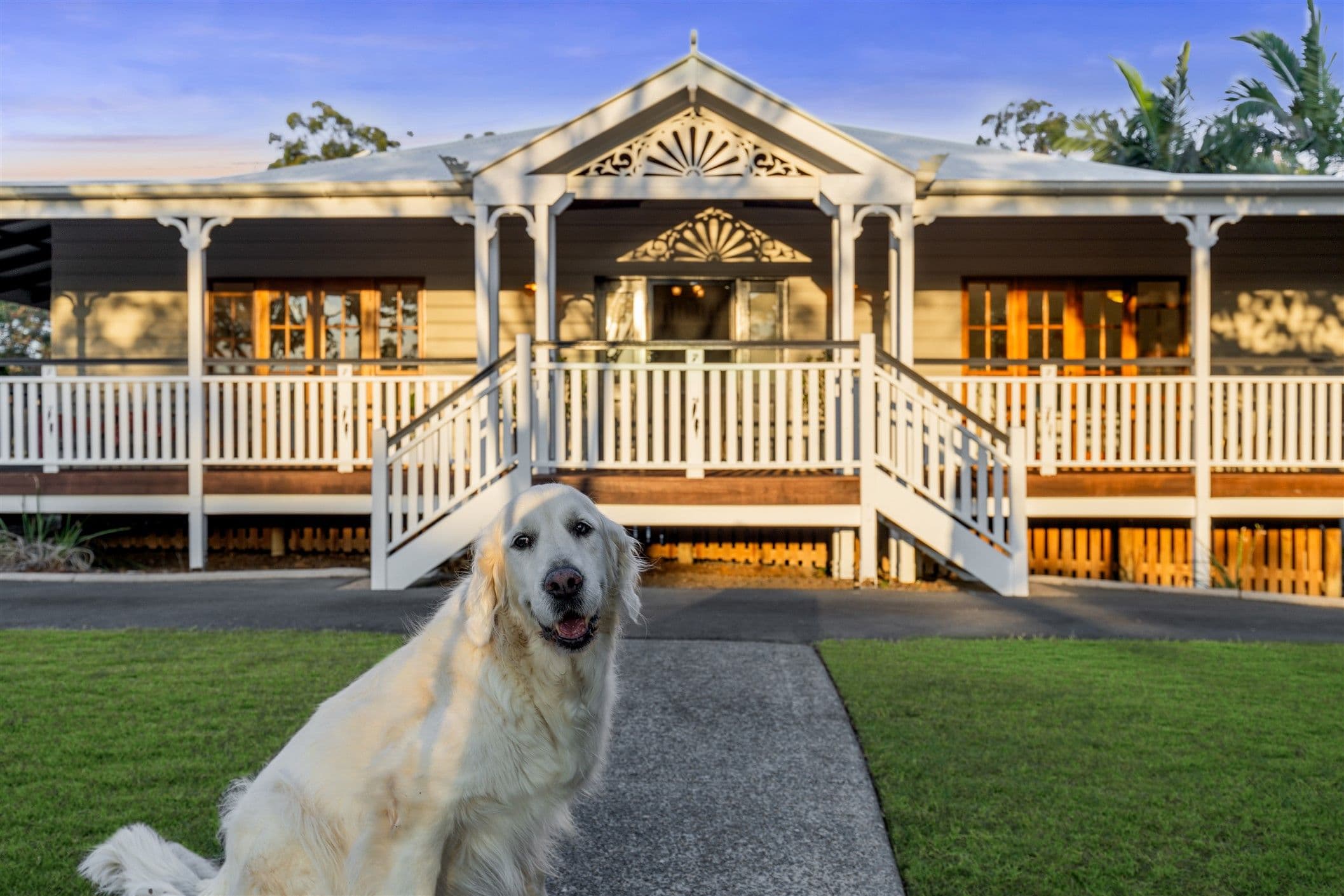 8 Starling Street, Warner QLD 4500, Warner - Thumbnail 3