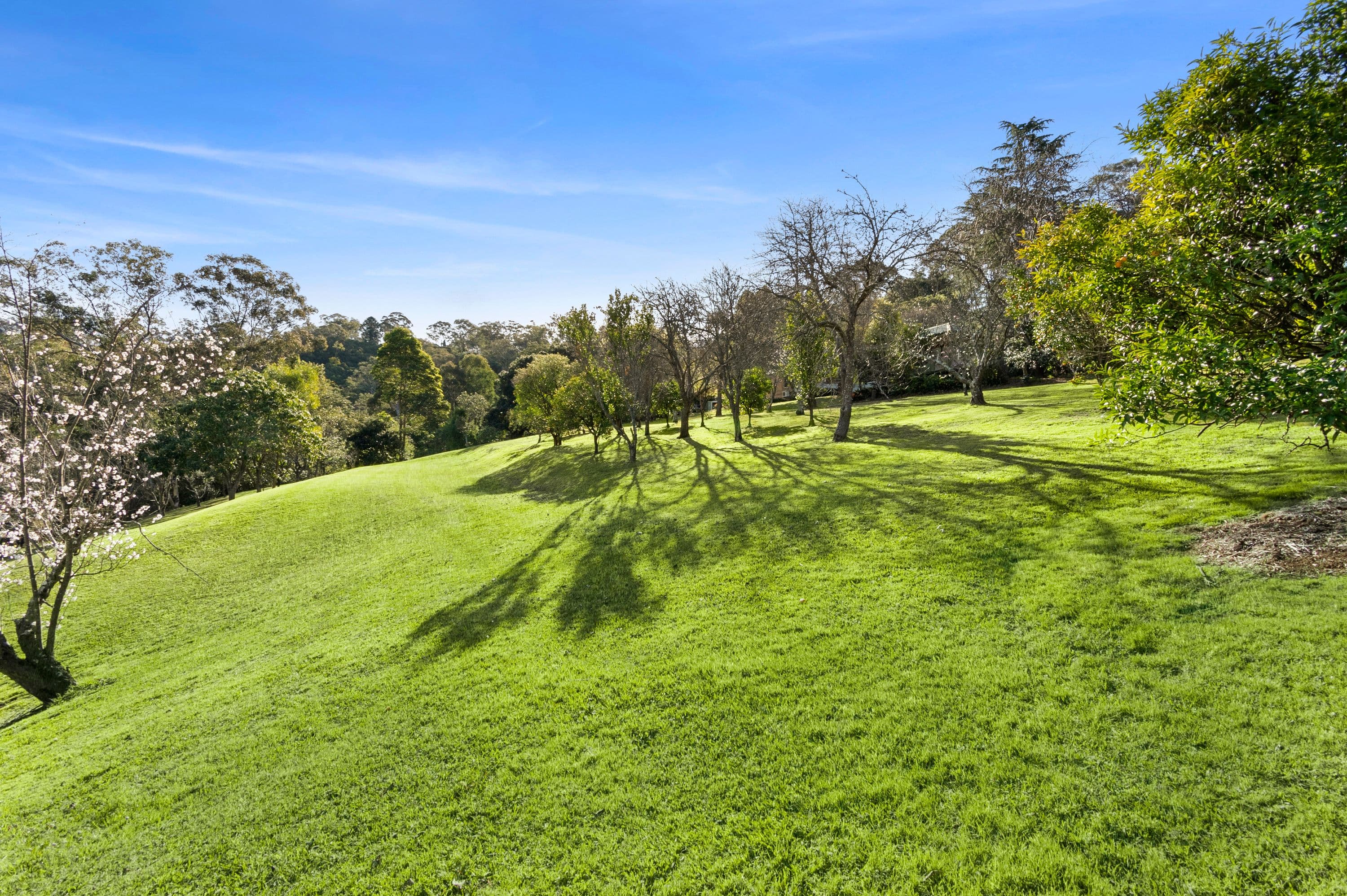 4 Patterson Lane, Grose Vale NSW 2753, Grose Vale - Thumbnail 4
