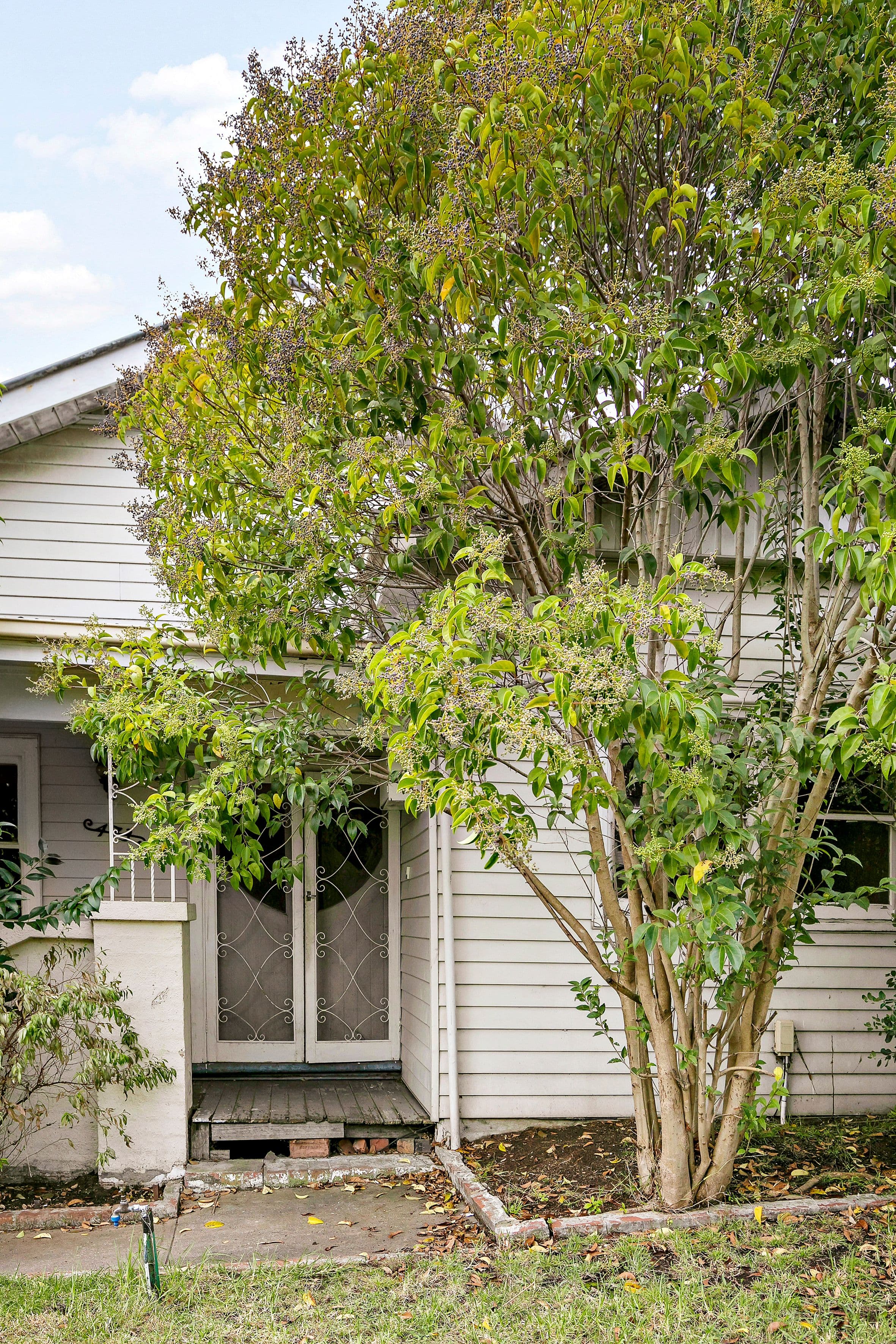 473 Albion Street, Brunswick West VIC 3055, Brunswick West - Thumbnail 2