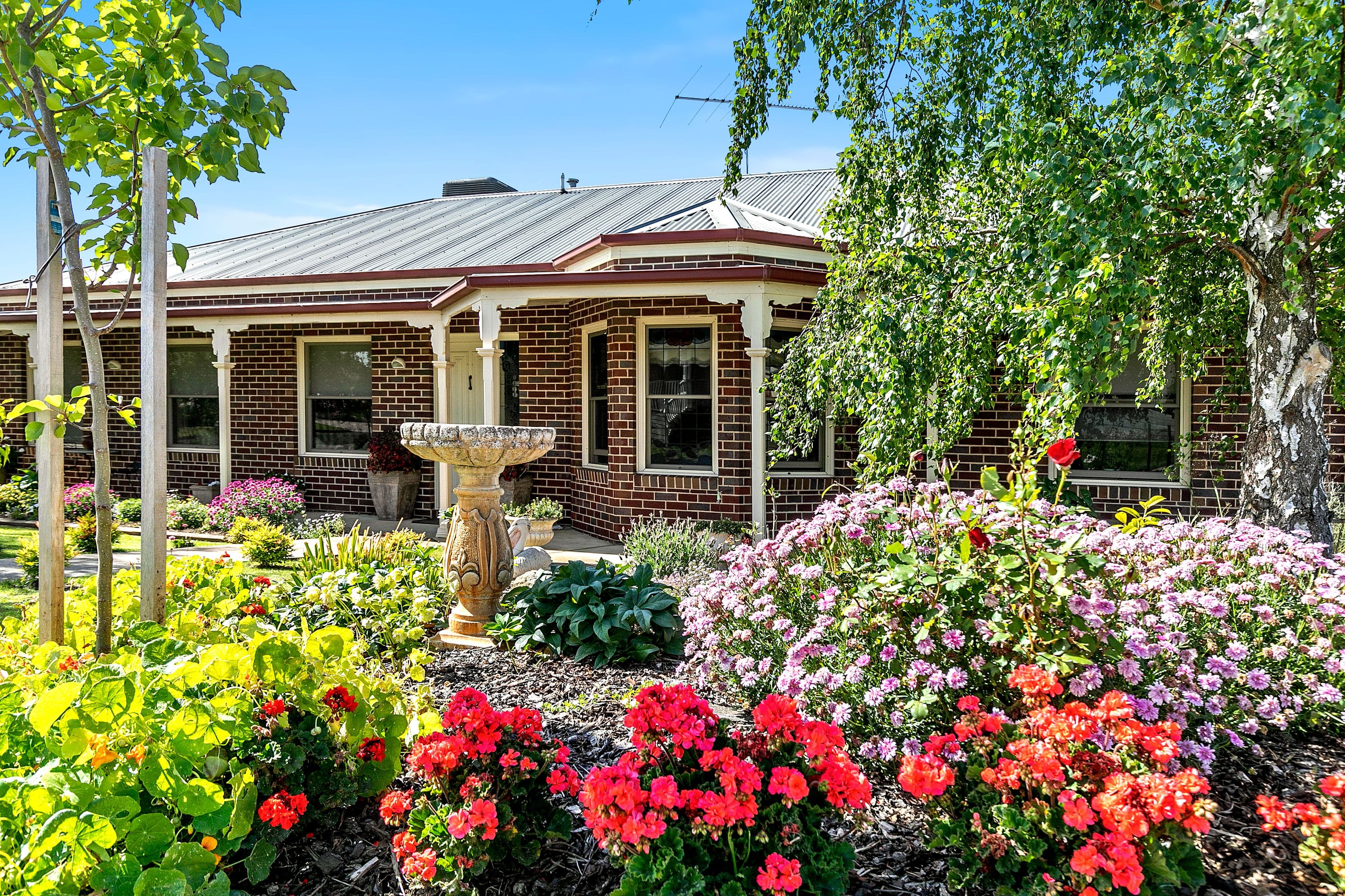 21 Perennial Rise, Grovedale VIC 3216, Grovedale - Thumbnail 3