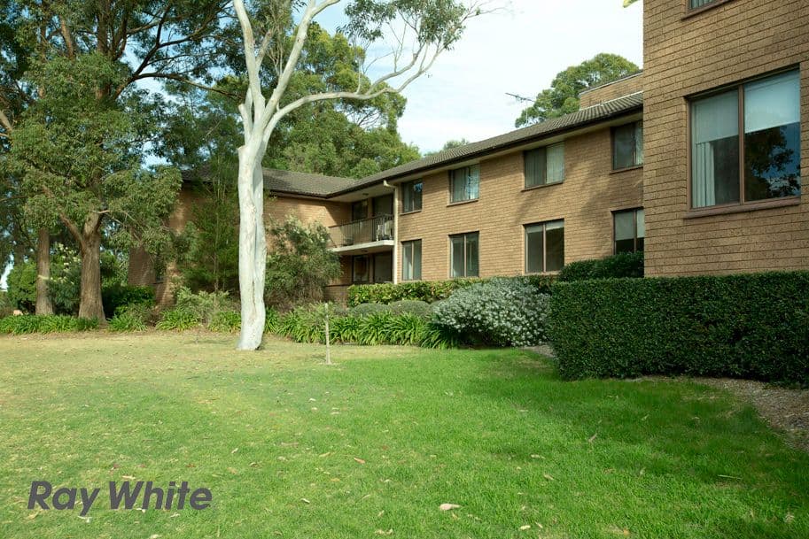 211 Waterloo Road, MARSFIELD NSW 2122, Marsfield - Thumbnail 6