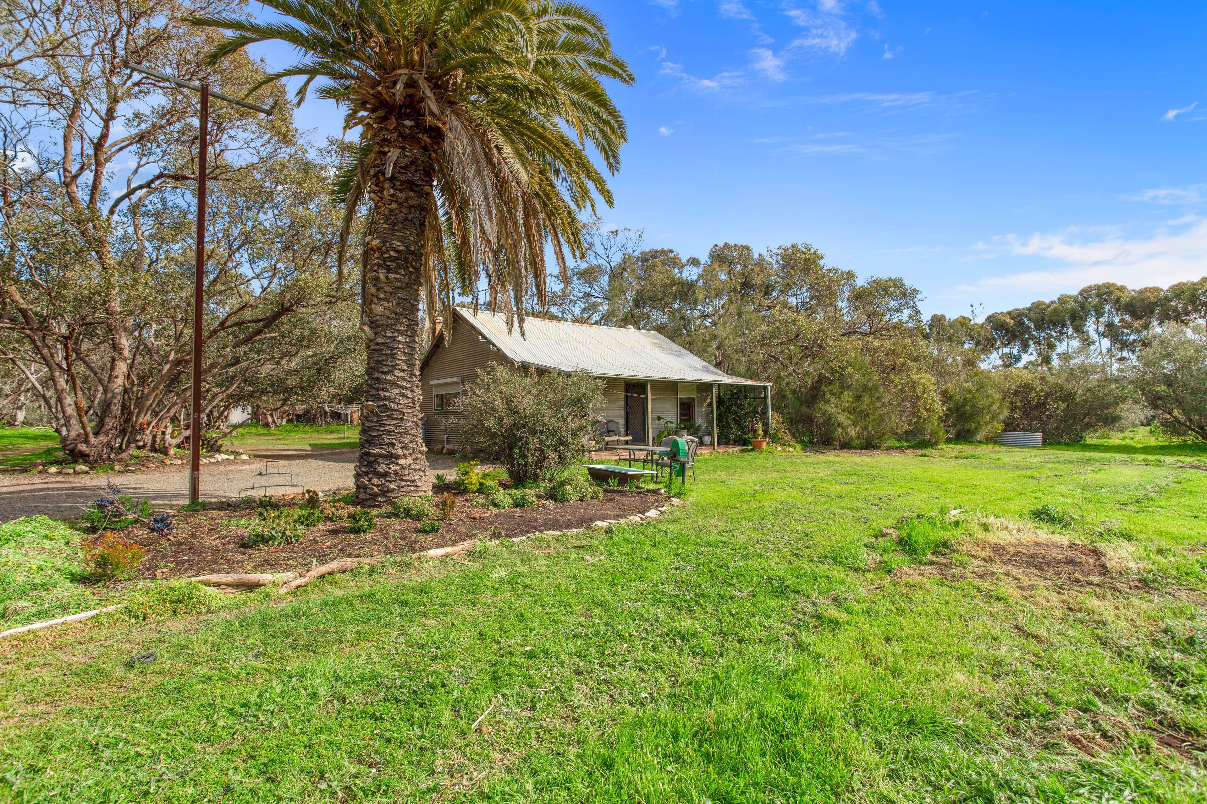 51 Peramangk Road, Nuriootpa SA 5355, Nuriootpa - Thumbnail 2