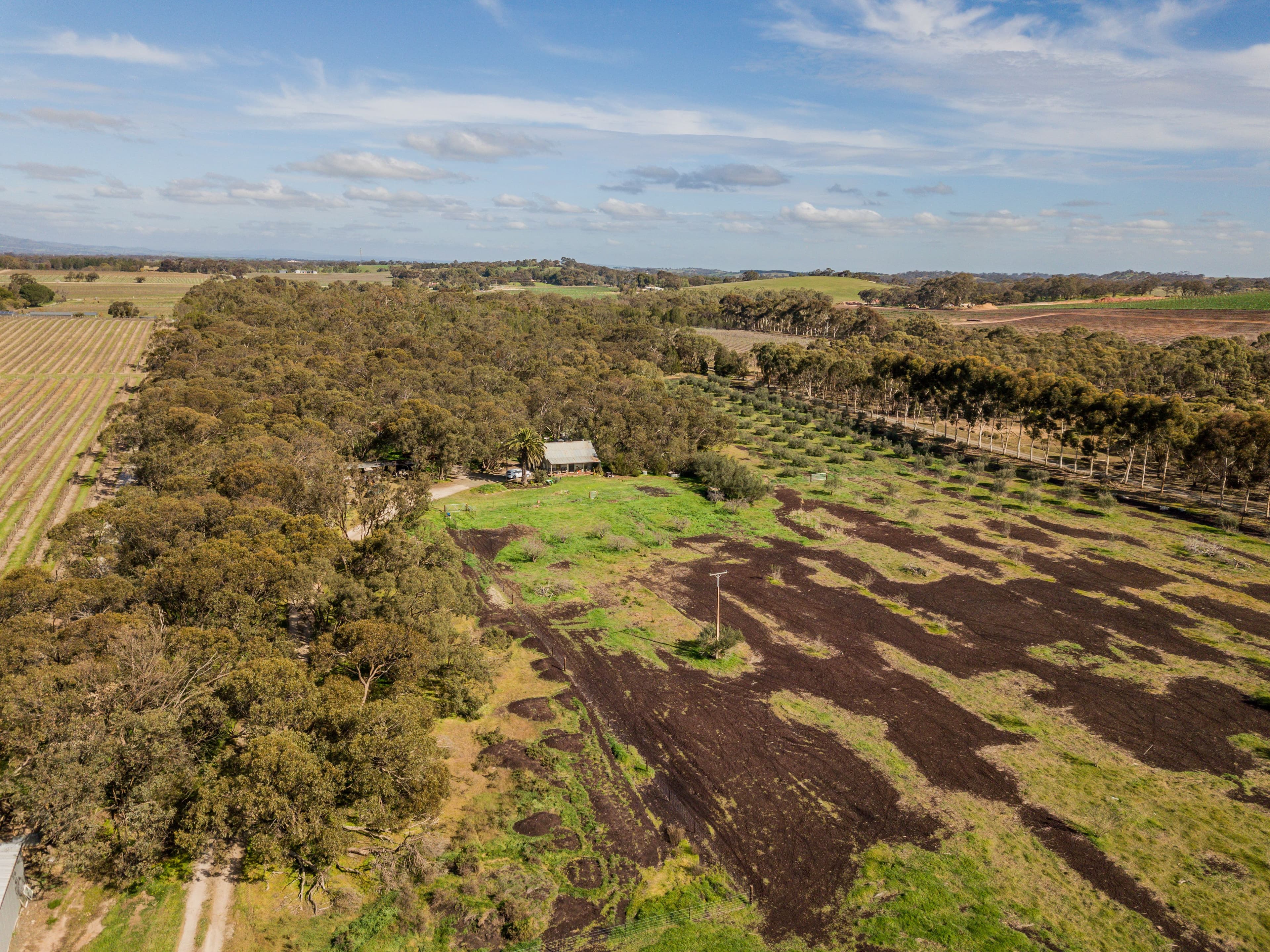 51 Peramangk Road, Nuriootpa SA 5355, Nuriootpa - Thumbnail 5