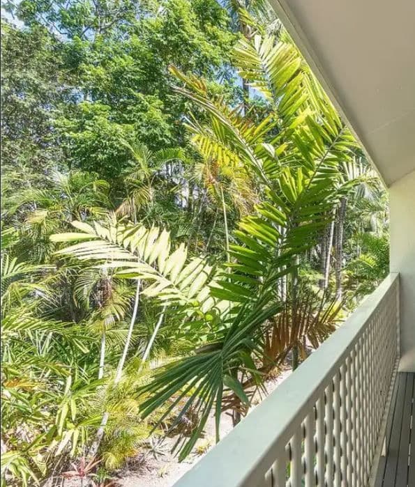 121-137 Port Douglas Road, Port Douglas QLD 4877, Port Douglas - Thumbnail 6