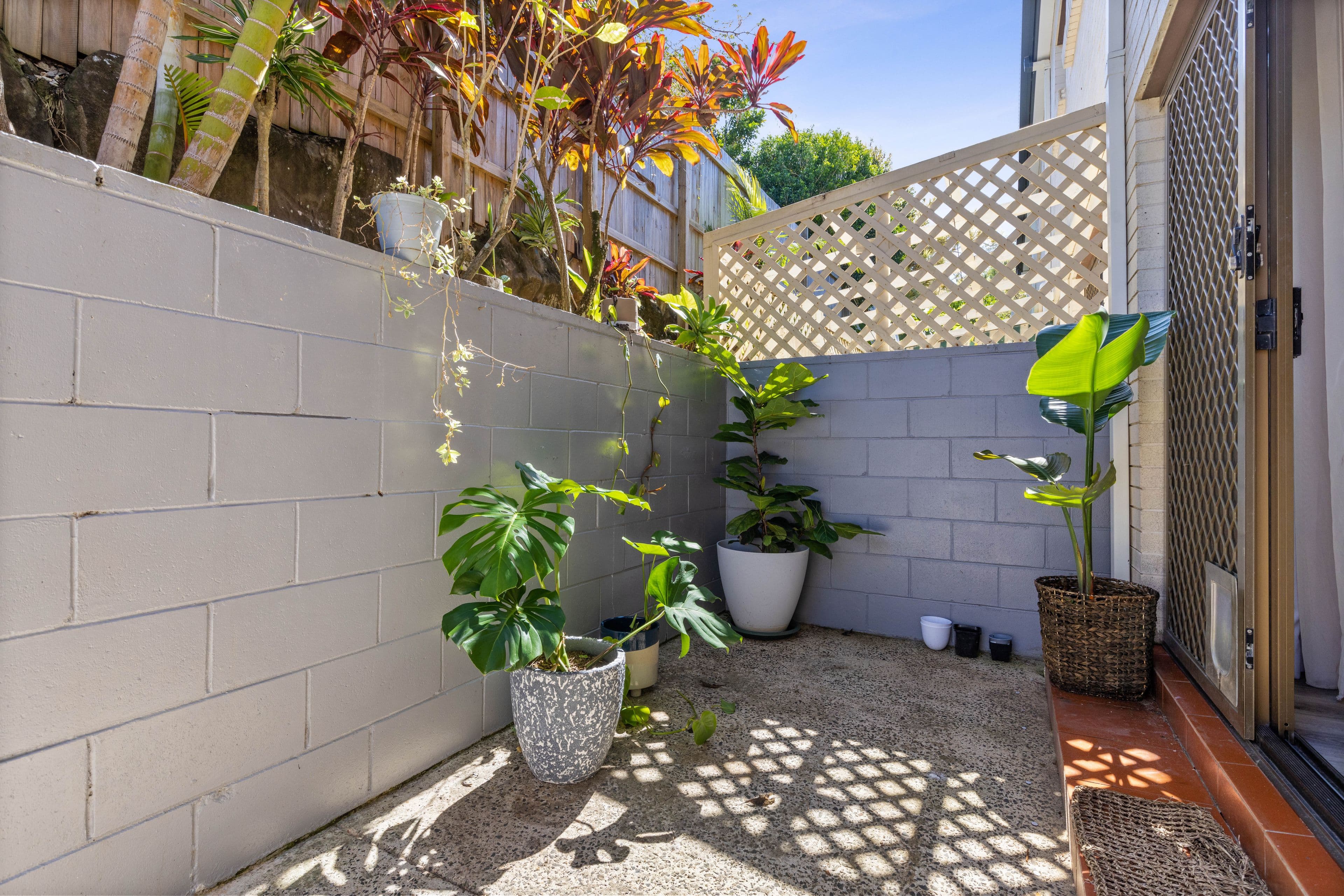 13 Ballinger Court, Buderim QLD 4556, Buderim - Thumbnail 7