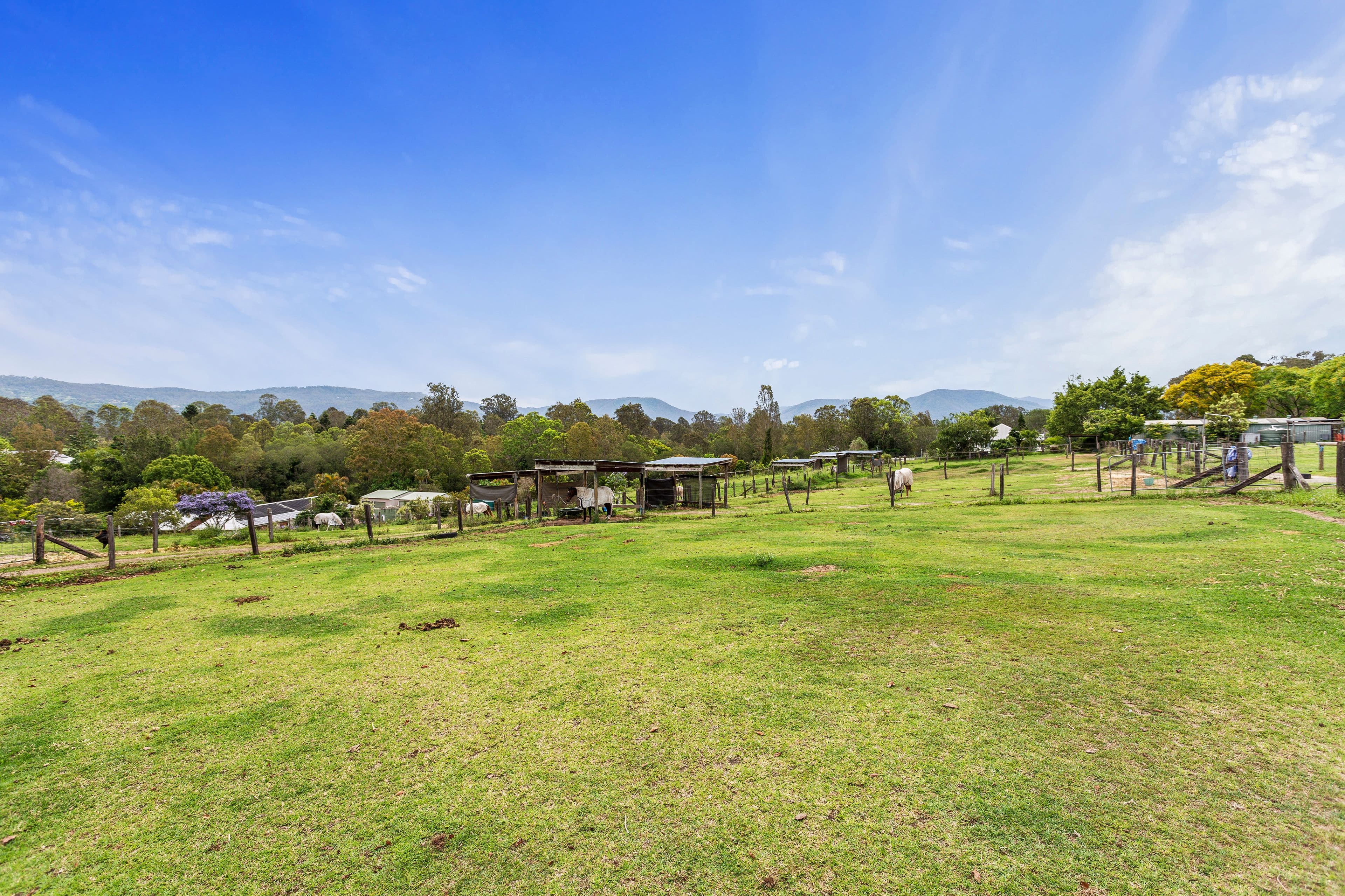 1 Richards Road, Camp Mountain QLD 4520, Camp Mountain - Thumbnail 3