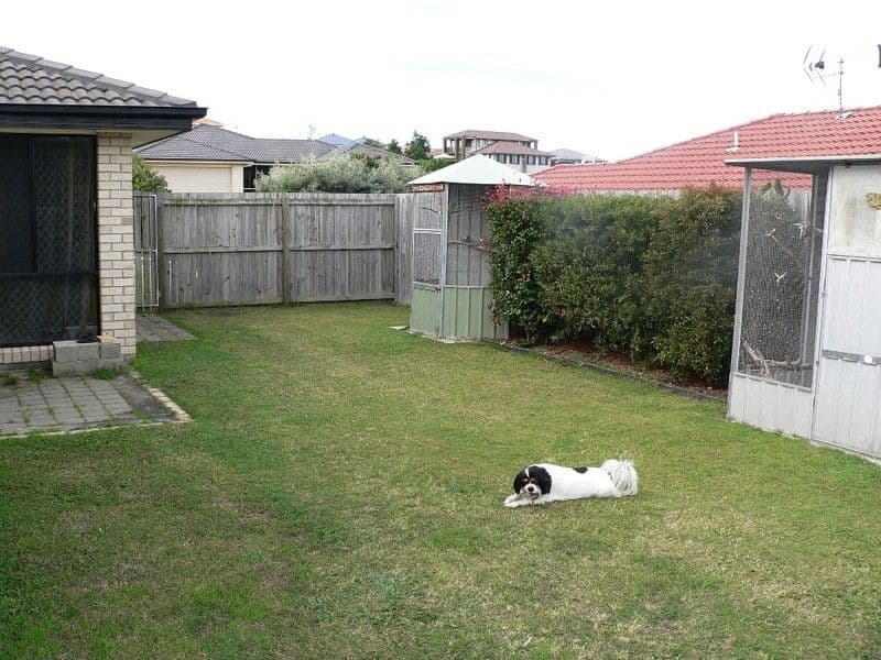 UPPER COOMERA QLD 4209, Upper Coomera - Thumbnail 6