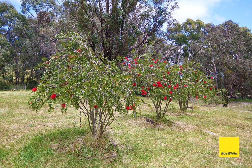 757 Rossi Road, Rossi NSW 2621, Rossi - Thumbnail 7